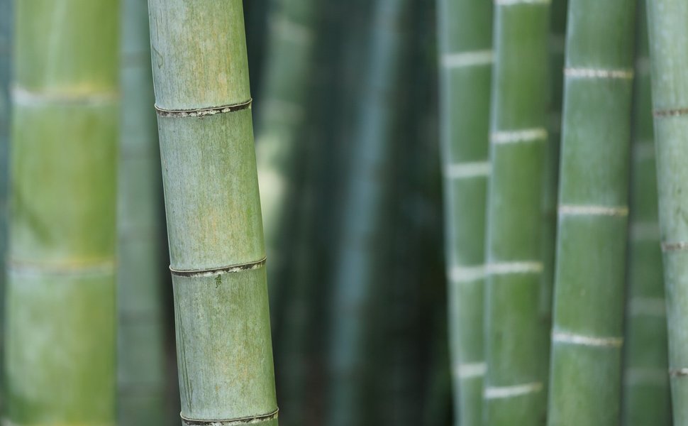 OEM Large Reusable Popcorn Bowl Chip Holder Snack Container Serving Bucket for Family Parties Lightweight Bamboo Wood OEM Large Reusable Popcorn Bowl Chip Holder Snack Container Serving Bucket for Family Parties Lightweight Bamboo Wood