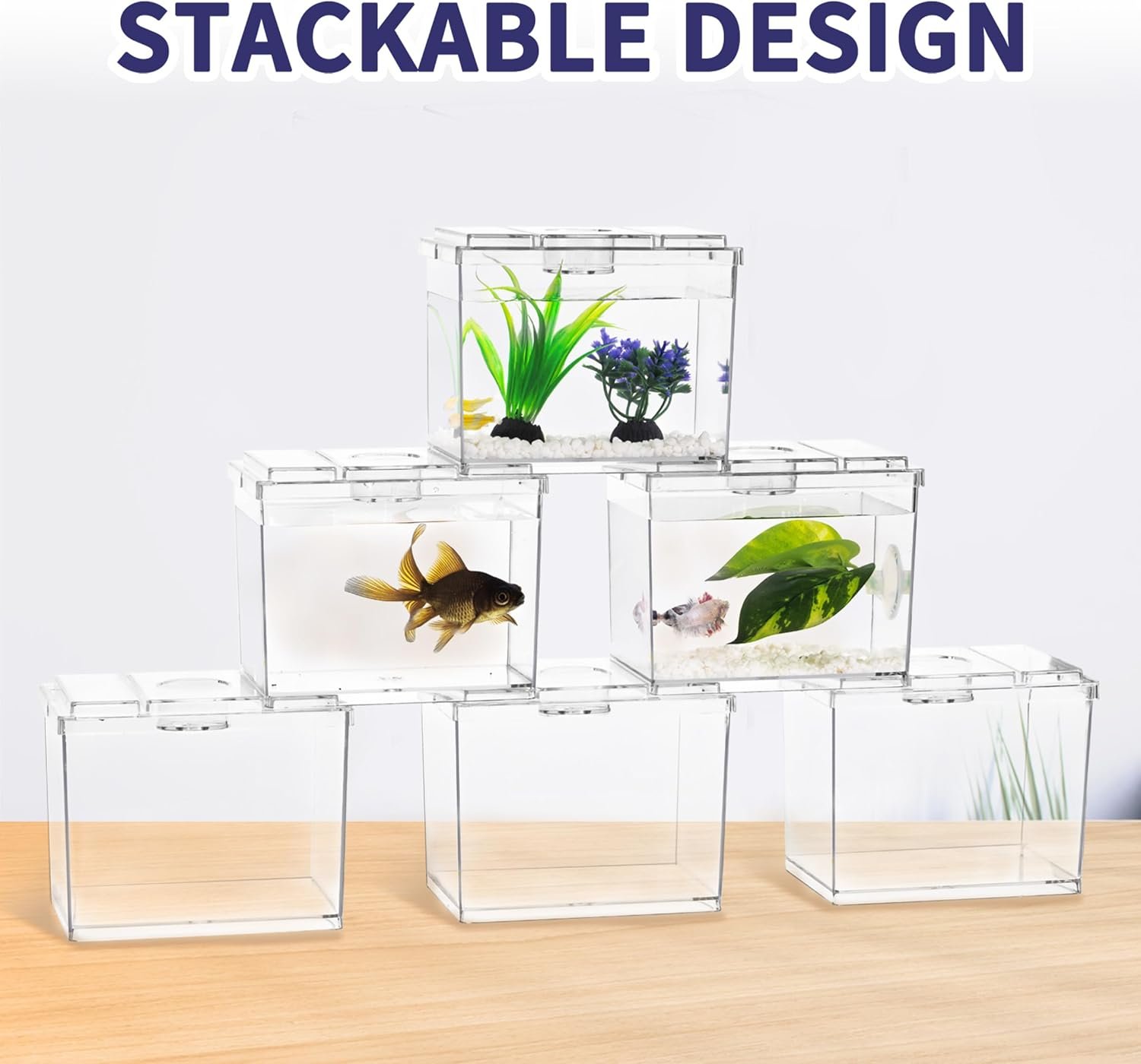 OEM Mini 0.2 Gallon Betta Fish Tank Stackable Cube Bowl Temporary Housing with Leaf Gravel for Small Fish Insects Shrimp Crabs Spiders (1 Pack) Factory OEM Mini 0.2 Gallon Betta Fish Tank Stackable Cube Bowl Temporary Housing with Leaf Gravel for Small Fish Insects Shrimp Crabs Spiders (1 Pack) Factory