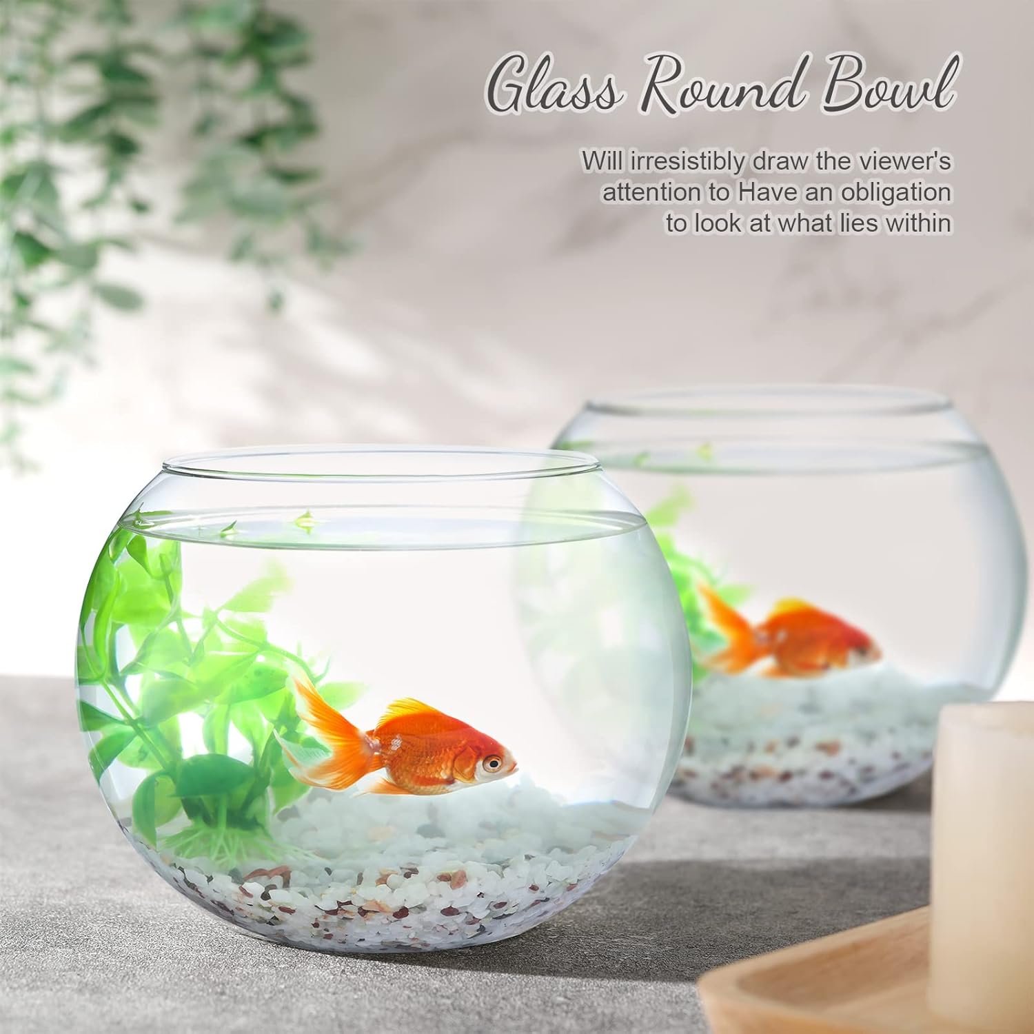 Wholesale Clear Bubble Glass Vases Round Bowls Planters Terrariums Fish Bowls for Weddings Events Home Decor Flowers 6 Pack 4.5 x 3.7 x 5.9 Inch Factory