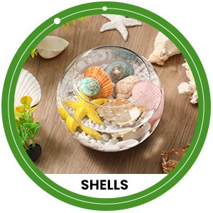 Wholesale Clear Bubble Glass Vases Round Bowls Planters Terrariums Fish Bowls for Weddings Events Home Decor Flowers 6 Pack 4.5 x 3.7 x 5.9 Inch Factory