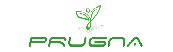 OEM Acrylic Wall-Mounted Fish Bowl Plant Pot 1 Gallon 11.5-Inch Hanging Tank Decoration Factory