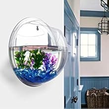OEM Acrylic Wall-Mounted Fish Bowl Plant Pot 1 Gallon 11.5-Inch Hanging Tank Decoration Factory