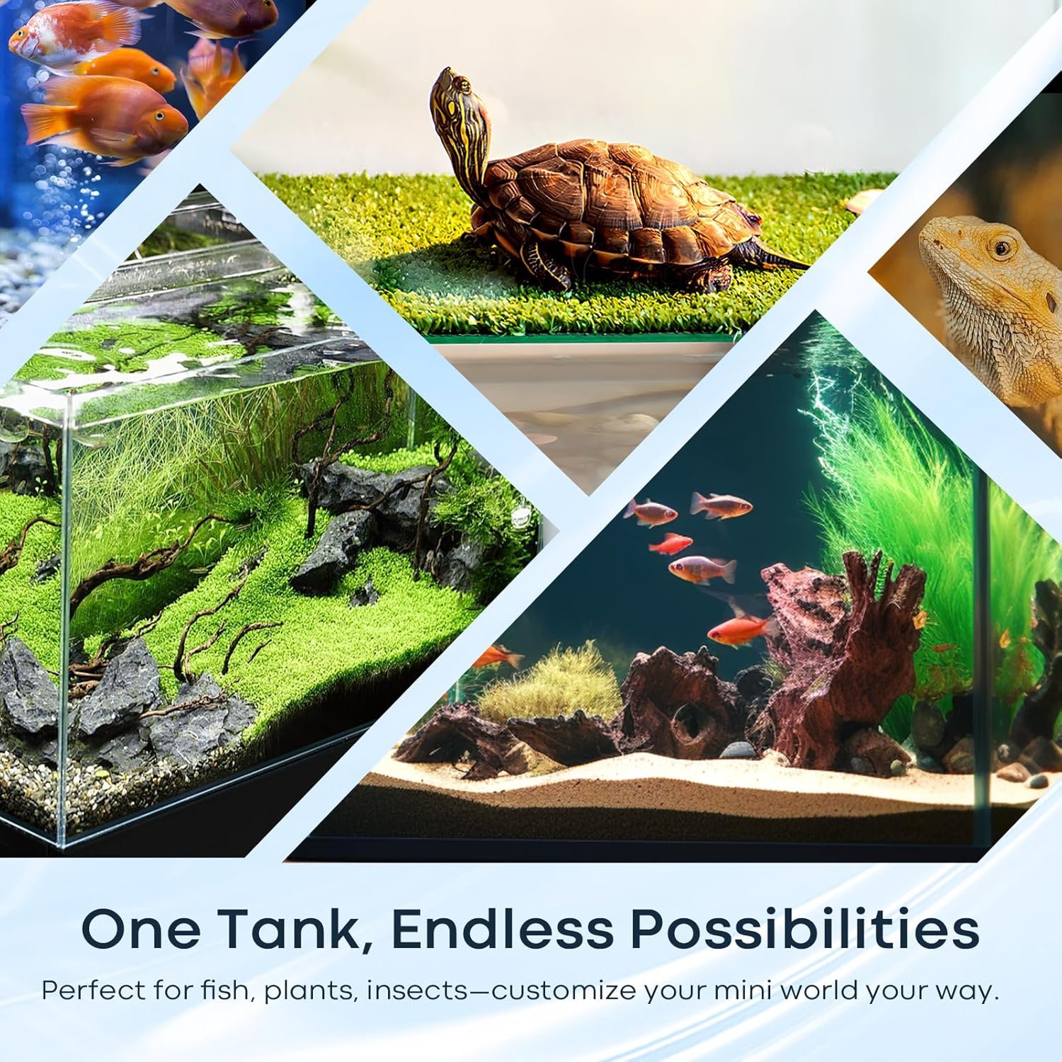 OEM 2.6 Gallon Rimless Glass Cube Aquarium Tank for Betta Goldfish Snails Shrimp Aquatic Plants Easy-Maintenance Ultra-Clear Desktop Design Factory