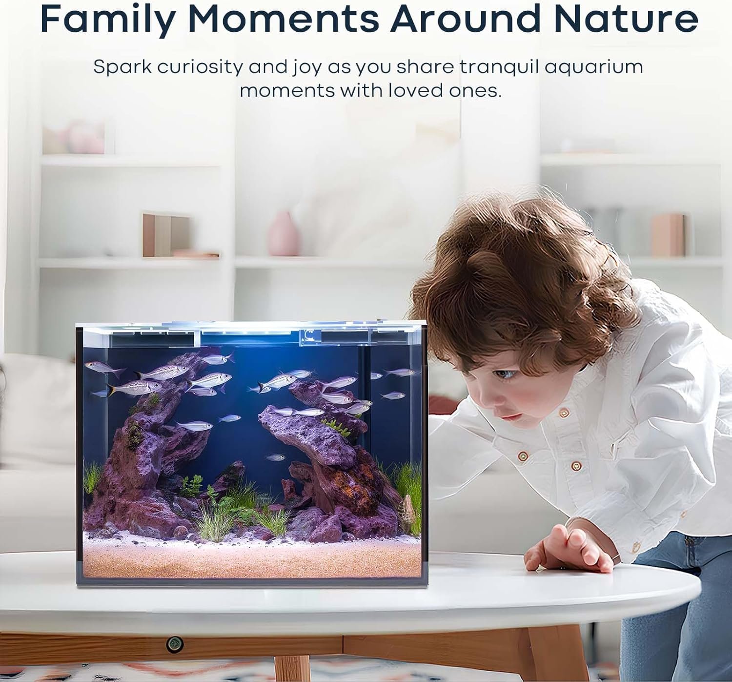 OEM 2.6 Gallon Rimless Glass Cube Aquarium Tank for Betta Goldfish Snails Shrimp Aquatic Plants Easy-Maintenance Ultra-Clear Desktop Design Factory