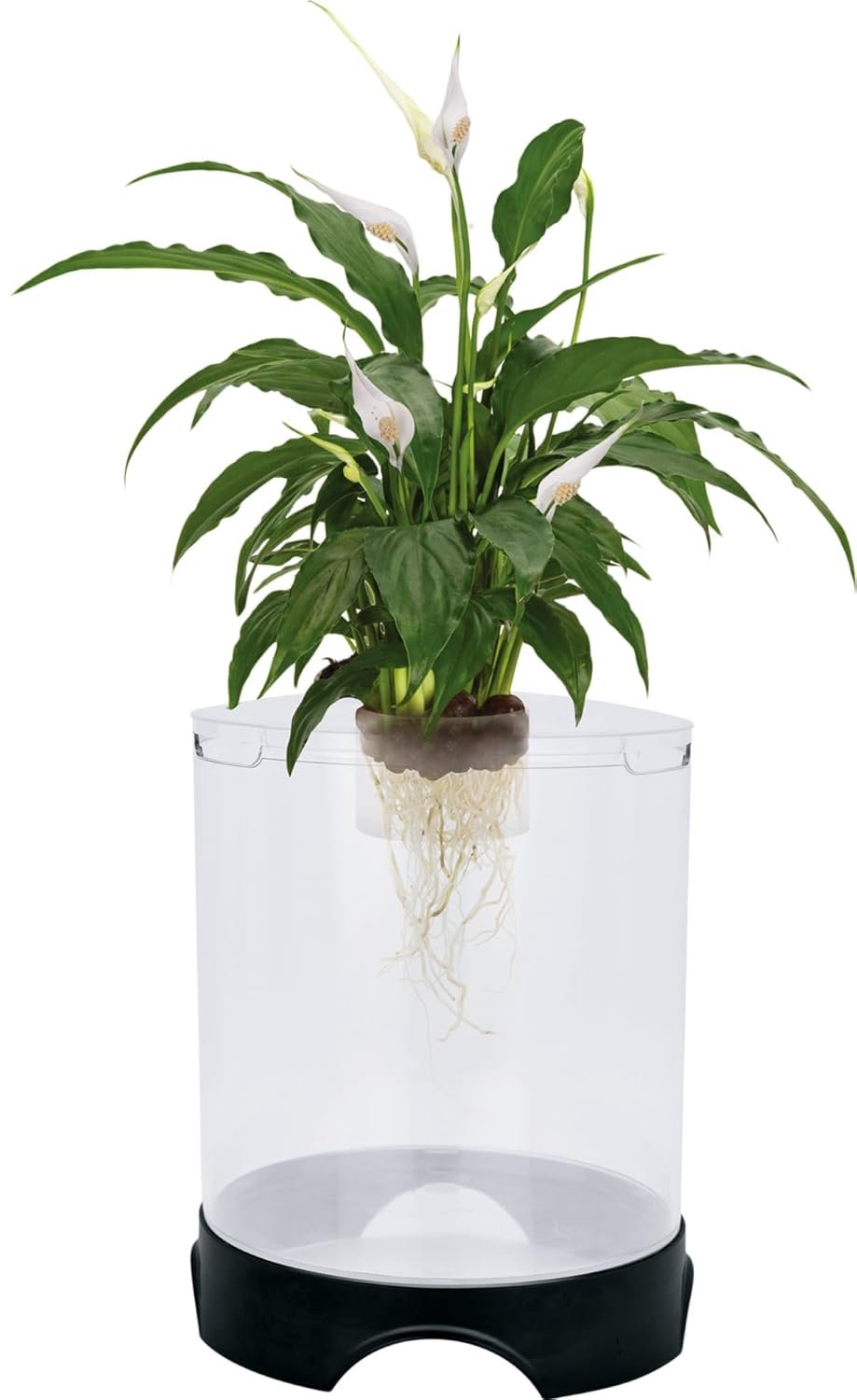 OEM Aquaponic Planter Aquarium for Betta Fish Hydroponic Tank Healthy Environment Plants Growth supplier