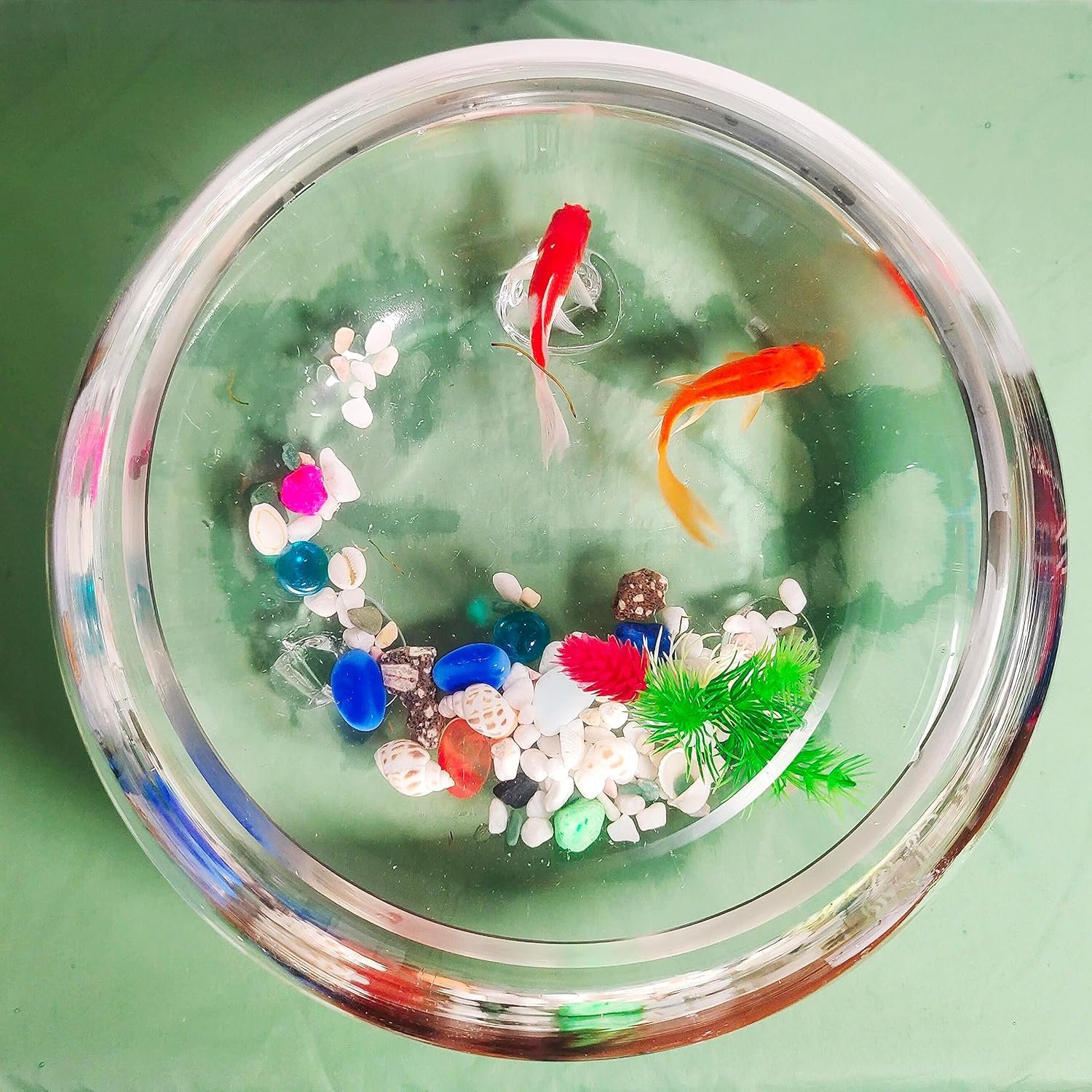 OEM 2 Gallon Glass Fish Tank Sturdy Betta Bowl for Small Ornamental Fish Reptiles High Transparency Viewing with Support Feet Factory