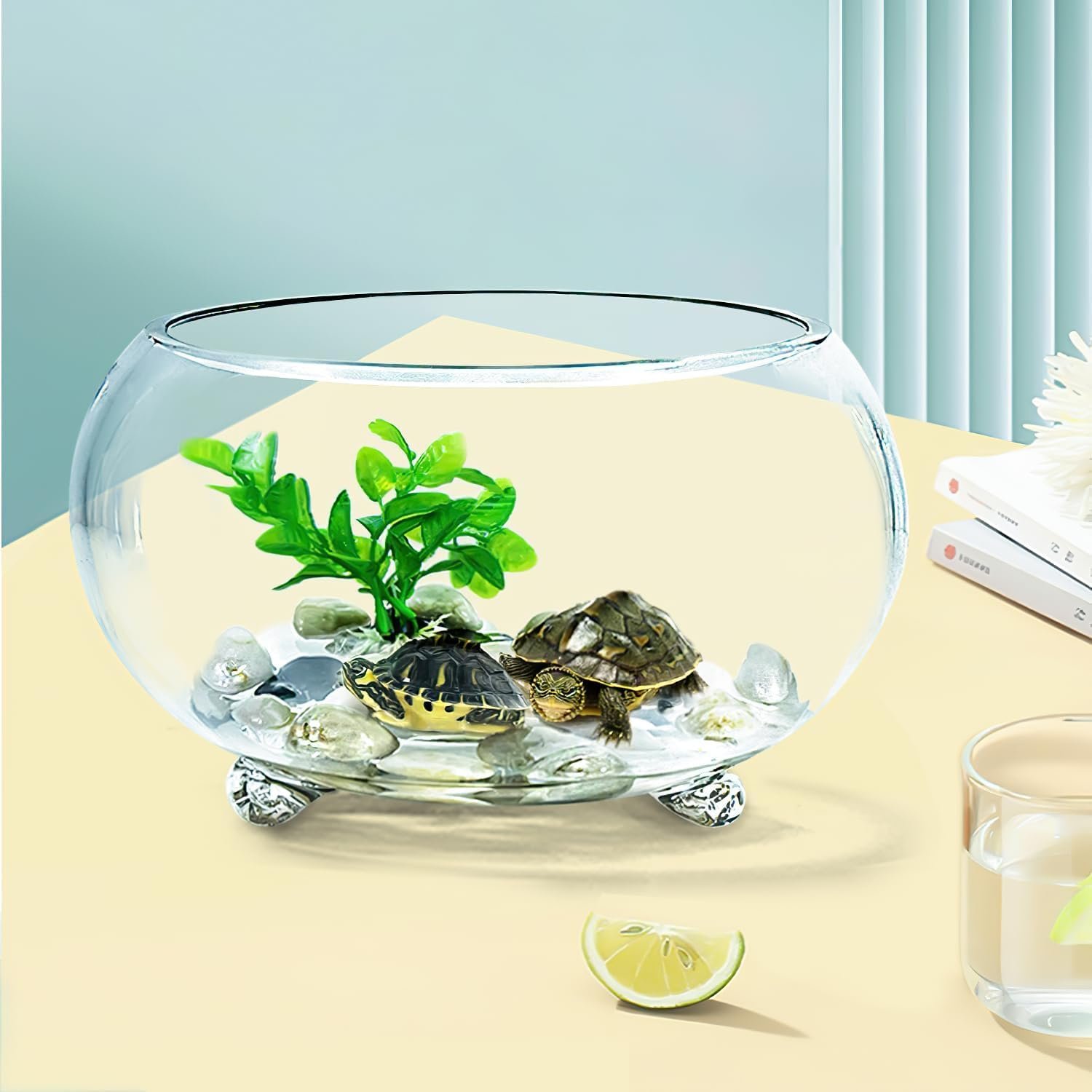 OEM 2 Gallon Glass Fish Tank Sturdy Betta Bowl for Small Ornamental Fish Reptiles High Transparency Viewing with Support Feet Factory