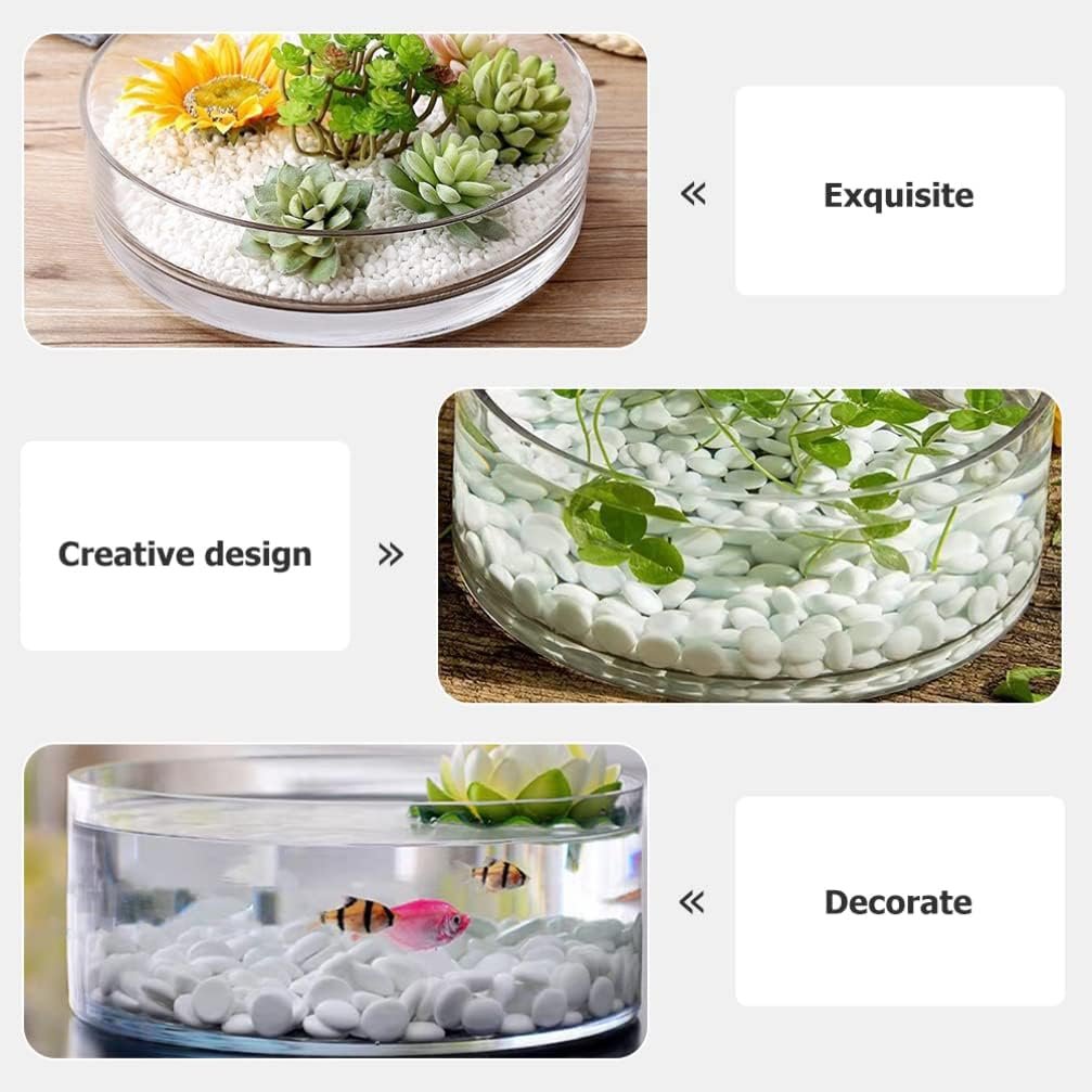 Wholesale 3 inch Tall x 6 inch Wide Glass Vase for Flowers Plants Candles Fish Decorative Fish Bowl Wedding Housewarming Gift Factory
