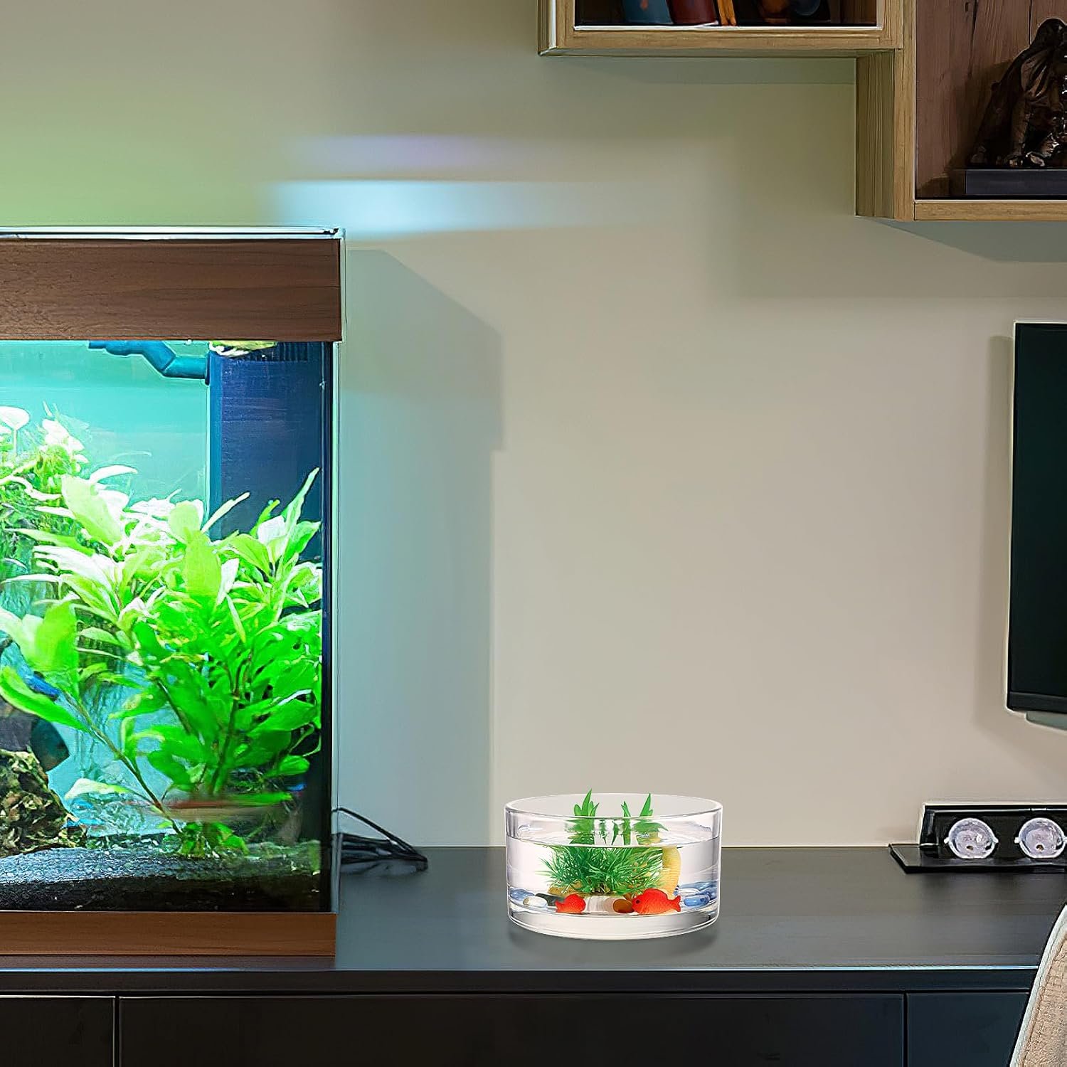 Wholesale 3 inch Tall x 6 inch Wide Glass Vase for Flowers Plants Candles Fish Decorative Fish Bowl Wedding Housewarming Gift Factory