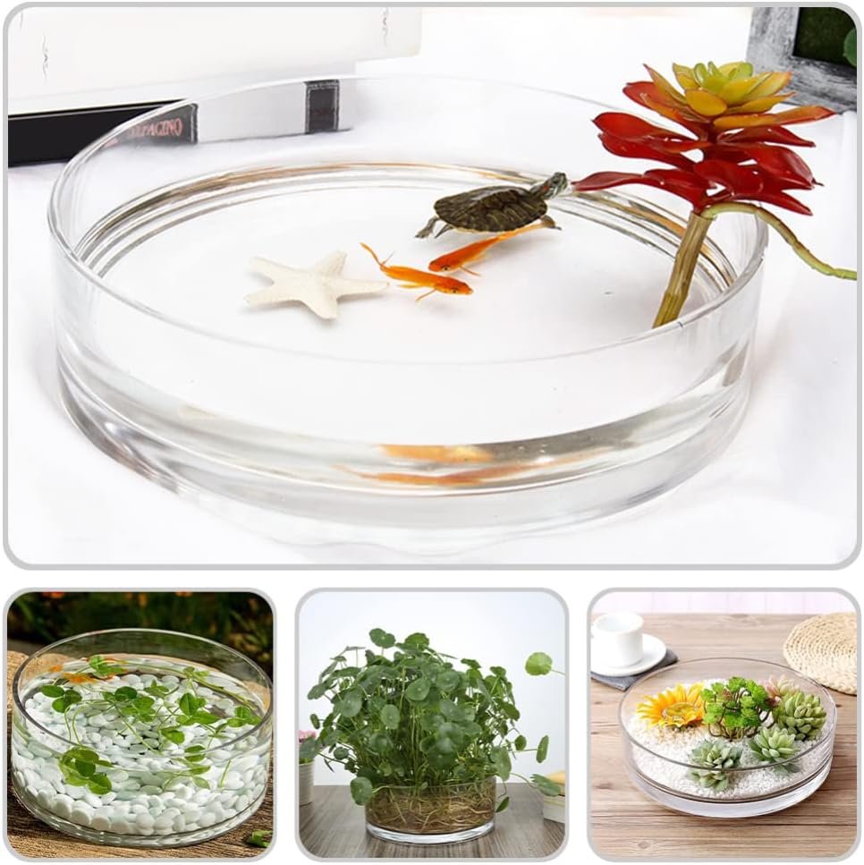 Wholesale 3 inch Tall x 6 inch Wide Glass Vase for Flowers Plants Candles Fish Decorative Fish Bowl Wedding Housewarming Gift Factory