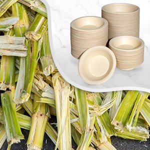 Wholesale 32oz Large Heavy Duty Biodegradable Microwavable Eco Friendly Bagasse Paper Bowls 120 Pack for Hot Soup Milk Cereals Snacks Salads Factory Wholesale 32oz Large Heavy Duty Biodegradable Microwavable Eco Friendly Bagasse Paper Bowls 120 Pack for Hot Soup Milk Cereals Snacks Salads Factory