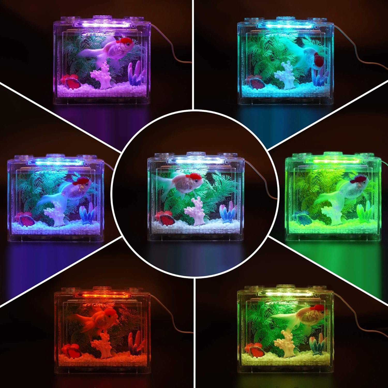 OEM 0.6 Gallon Small Betta Fish Tank Kit with LED Lighting Stackable Aquarium Set for Fighting Fish Turtles Reptiles Shrimp Crabs Insects as Decoration Factory
