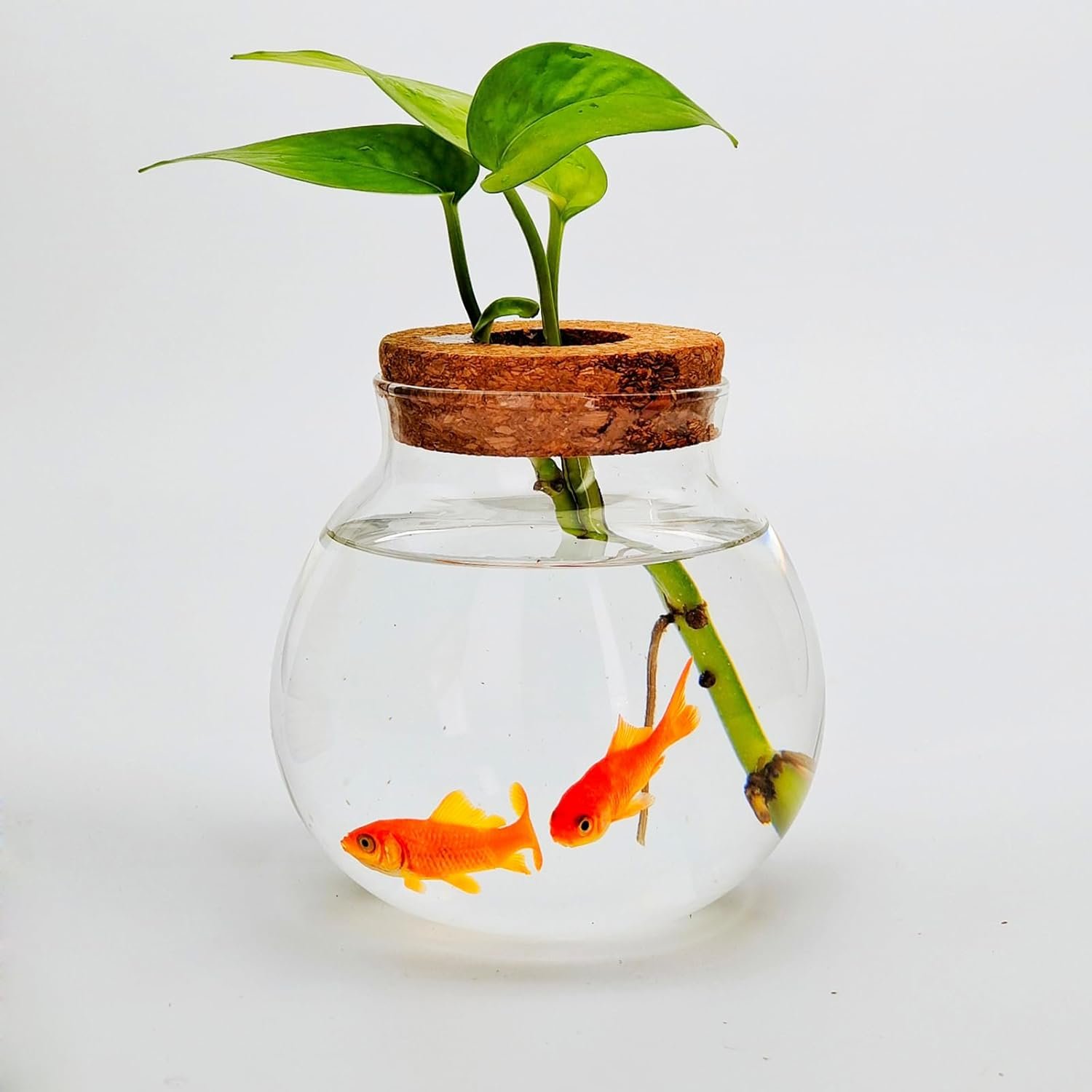 OEM Small Glass Betta Fish Tank Bowls for Goldfish Aquaponic Planter Terrarium with Plant Cuttings Desktop Decor Gifts Factory