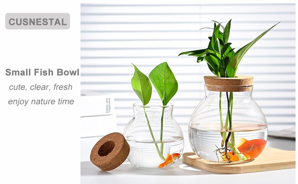 OEM Small Glass Betta Fish Tank Bowls for Goldfish Aquaponic Planter Terrarium with Plant Cuttings Desktop Decor Gifts Factory