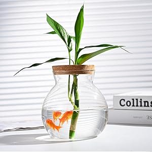 OEM Small Glass Betta Fish Tank Bowls for Goldfish Aquaponic Planter Terrarium with Plant Cuttings Desktop Decor Gifts Factory