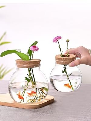 OEM Small Glass Betta Fish Tank Bowls for Goldfish Aquaponic Planter Terrarium with Plant Cuttings Desktop Decor Gifts Factory