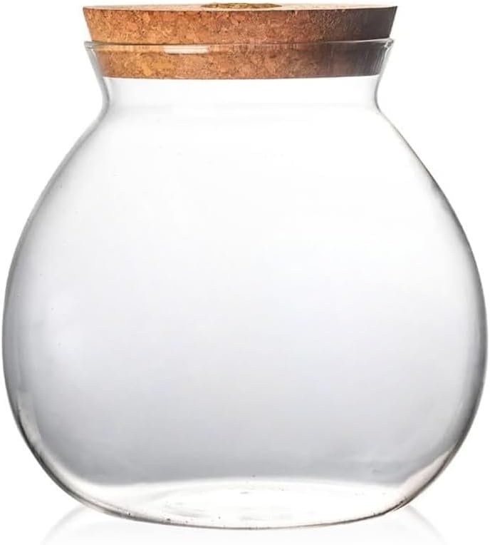 OEM Small Glass Betta Fish Tank Bowls for Goldfish Aquaponic Planter Terrarium with Plant Cuttings Desktop Decor Gifts Factory