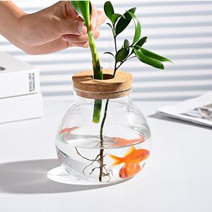 OEM Small Glass Betta Fish Tank Bowls for Goldfish Aquaponic Planter Terrarium with Plant Cuttings Desktop Decor Gifts Factory