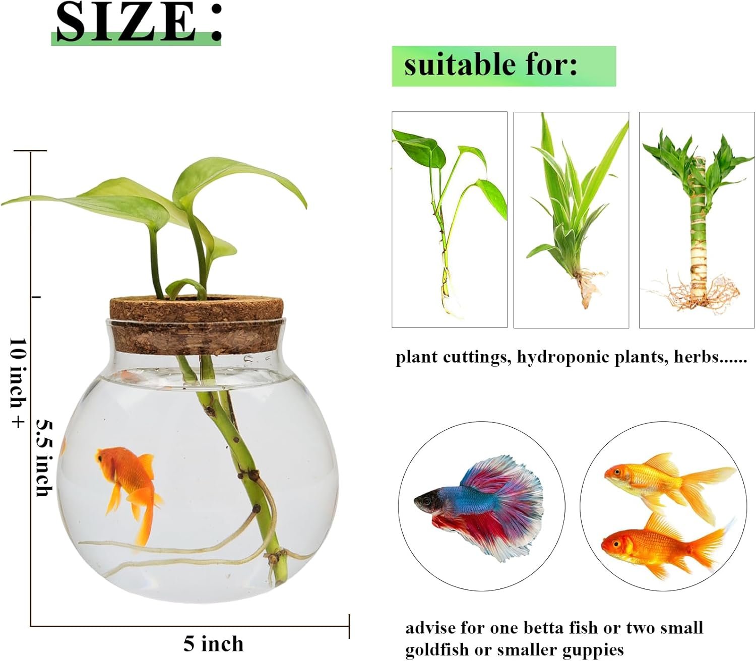 OEM Small Glass Betta Fish Tank Bowls for Goldfish Aquaponic Planter Terrarium with Plant Cuttings Desktop Decor Gifts Factory