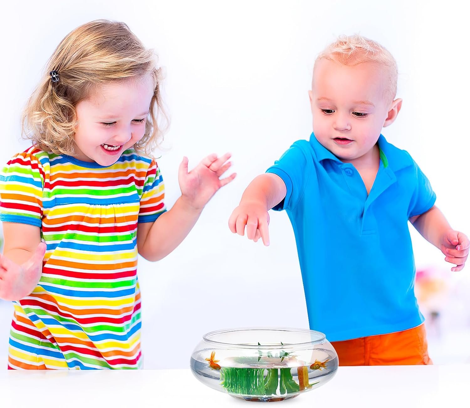 Wholesale Clear Bubble Fish Bowl Vase Round Shallow Terrarium Planter Aquatic Plant Hydroponic Aquarium 2800ML Wedding Event Home Decor Factory Wholesale Clear Bubble Fish Bowl Vase Round Shallow Terrarium Planter Aquatic Plant Hydroponic Aquarium 2800ML Wedding Event Home Decor Factory