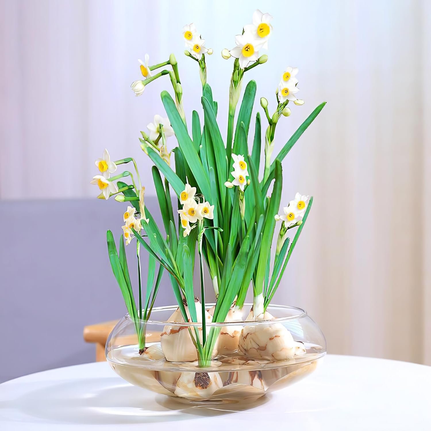 Wholesale Clear Bubble Fish Bowl Vase Round Shallow Terrarium Planter Aquatic Plant Hydroponic Aquarium 2800ML Wedding Event Home Decor Factory Wholesale Clear Bubble Fish Bowl Vase Round Shallow Terrarium Planter Aquatic Plant Hydroponic Aquarium 2800ML Wedding Event Home Decor Factory