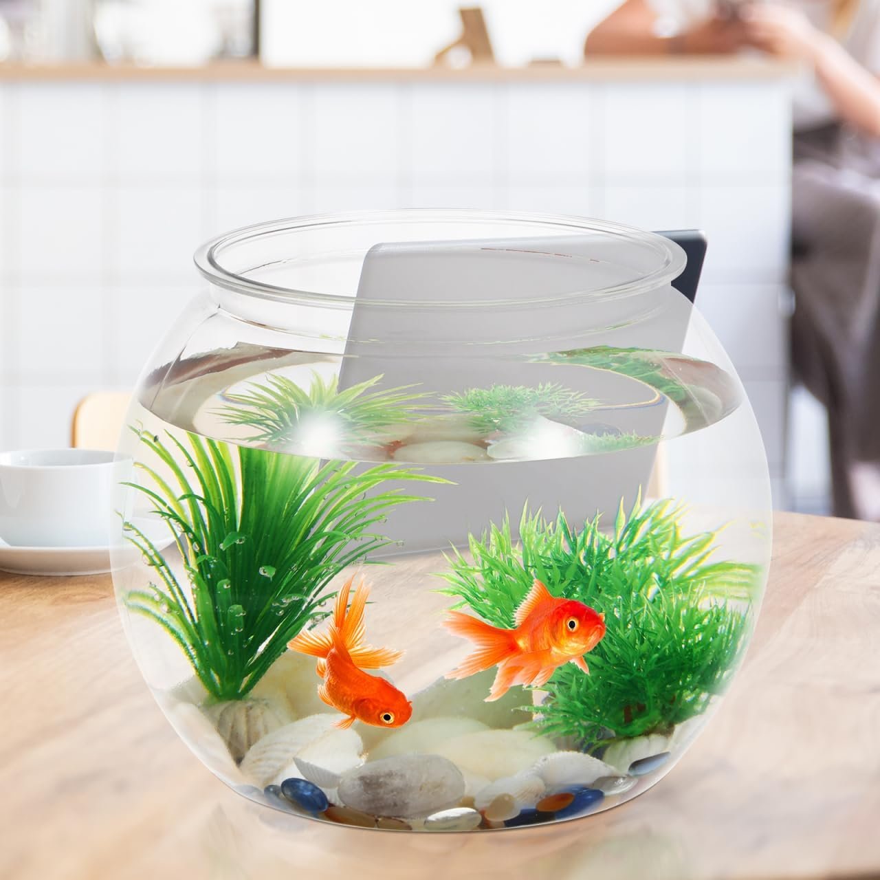 OEM 8.66 Inch Transparent Round Aquarium Tank Desktop Fish Bowl for Betta Goldfish Office Home Decor Durable Material Plants supplier OEM 8.66 Inch Transparent Round Aquarium Tank Desktop Fish Bowl for Betta Goldfish Office Home Decor Durable Material Plants supplier