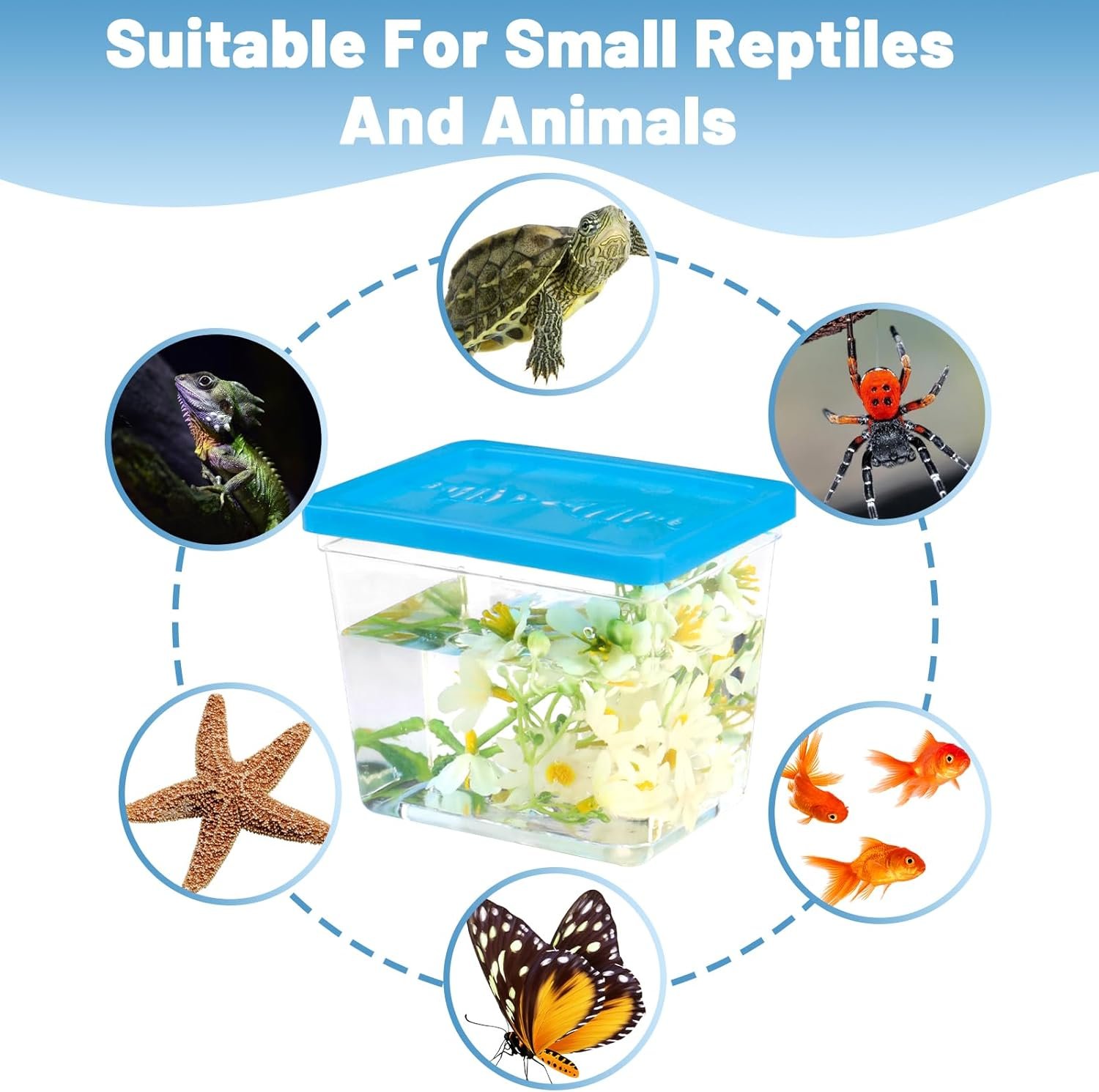 Wholesale 25 Pack 12 Oz Small Rectangle Plastic Fish Bowls with Lids Goldfish Tank Candy Dish Tarantula Enclosure Snake Breeding Case Mini Pet Box Factory