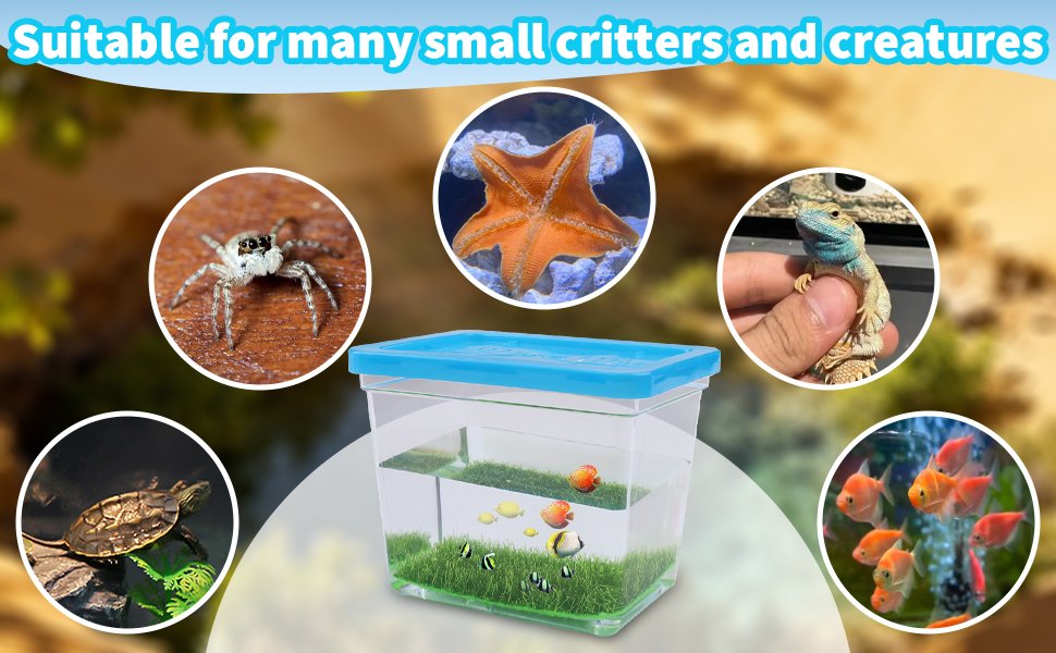 Wholesale 25 Pack 12 Oz Small Rectangle Plastic Fish Bowls with Lids Goldfish Tank Candy Dish Tarantula Enclosure Snake Breeding Case Mini Pet Box Factory