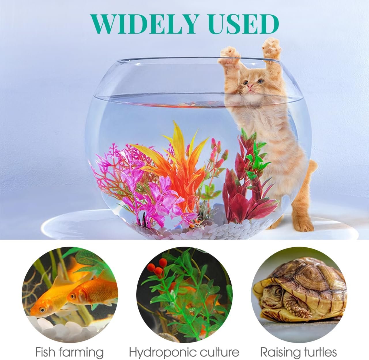 OEM 2 Gallon 7.8 Inch Round Glass Fish Bowl Transparent Desktop Aquarium for Goldfish Hydroponic Plants Small Home Office Tank Factory OEM 2 Gallon 7.8 Inch Round Glass Fish Bowl Transparent Desktop Aquarium for Goldfish Hydroponic Plants Small Home Office Tank Factory