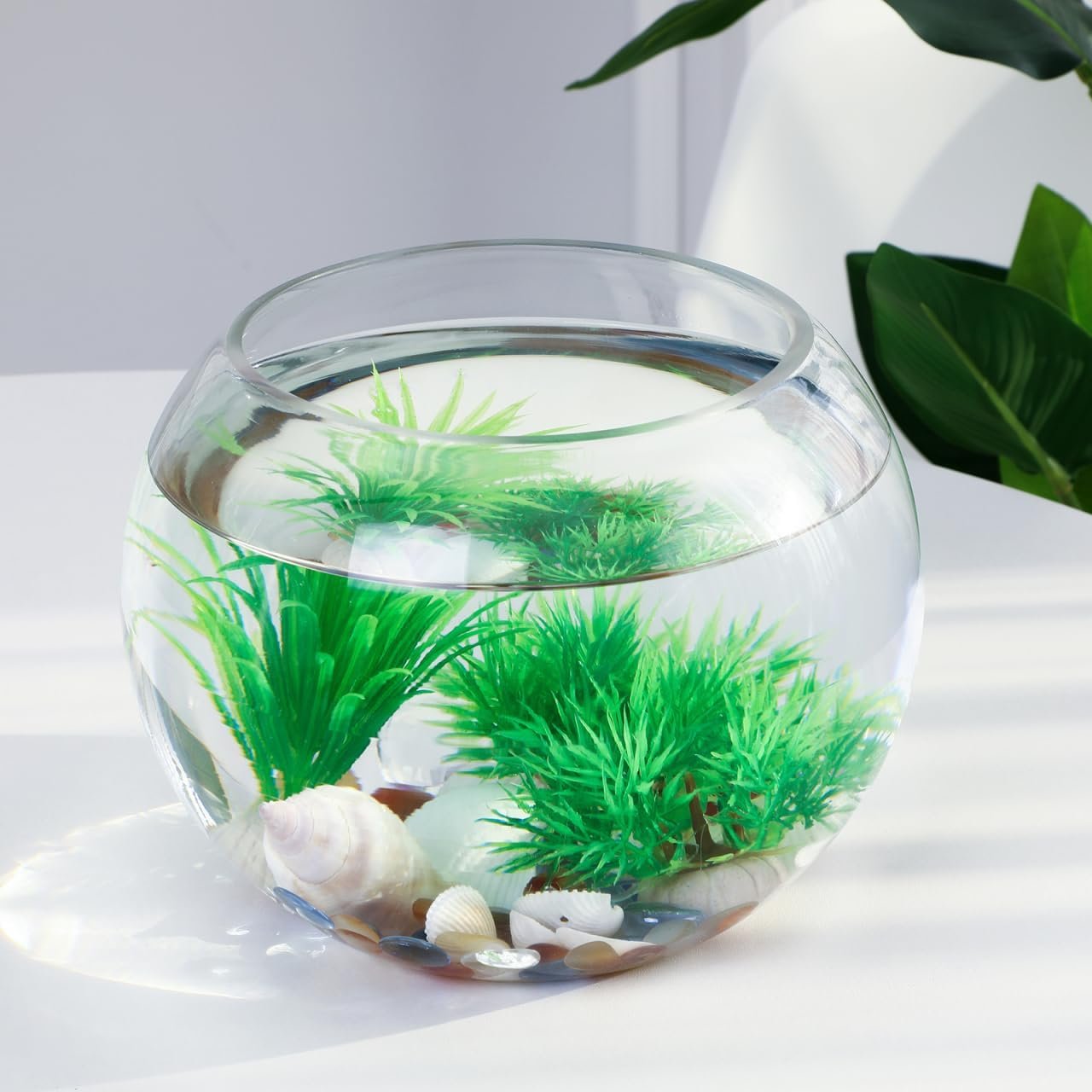 OEM 2 Gallon 7.8 Inch Round Glass Fish Bowl Transparent Desktop Aquarium for Goldfish Hydroponic Plants Small Home Office Tank Factory OEM 2 Gallon 7.8 Inch Round Glass Fish Bowl Transparent Desktop Aquarium for Goldfish Hydroponic Plants Small Home Office Tank Factory