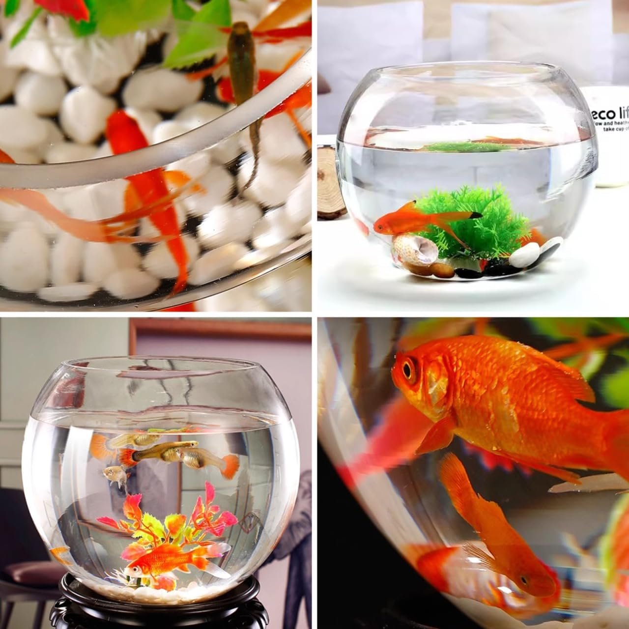 OEM 2 Gallon 7.8 Inch Round Glass Fish Bowl Transparent Desktop Aquarium for Goldfish Hydroponic Plants Small Home Office Tank Factory OEM 2 Gallon 7.8 Inch Round Glass Fish Bowl Transparent Desktop Aquarium for Goldfish Hydroponic Plants Small Home Office Tank Factory