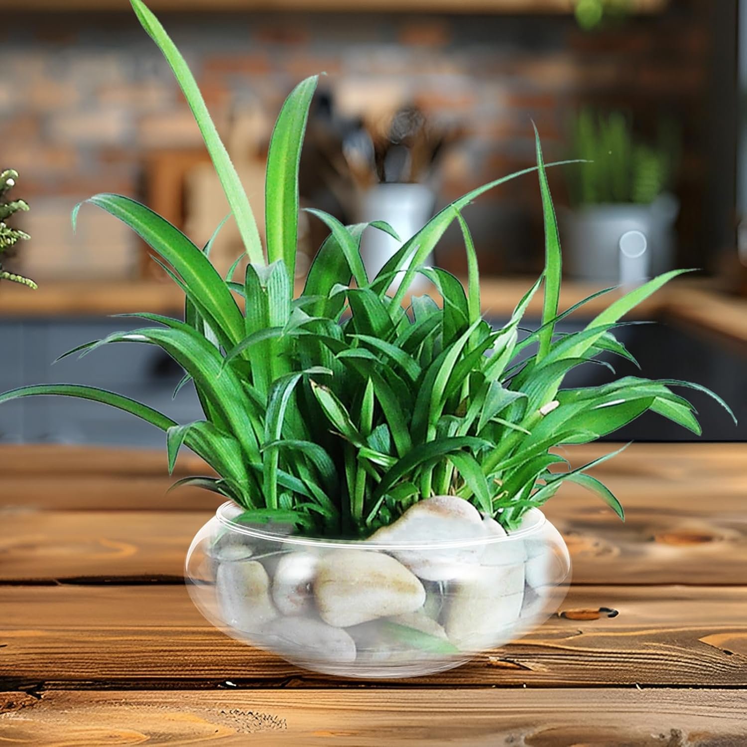 Wholesale Clear Glass Fish Bowl Vase Bubble Round Shallow Planter Hydroponic Floral Container for Table Centerpieces Wedding Events 15cm Factory