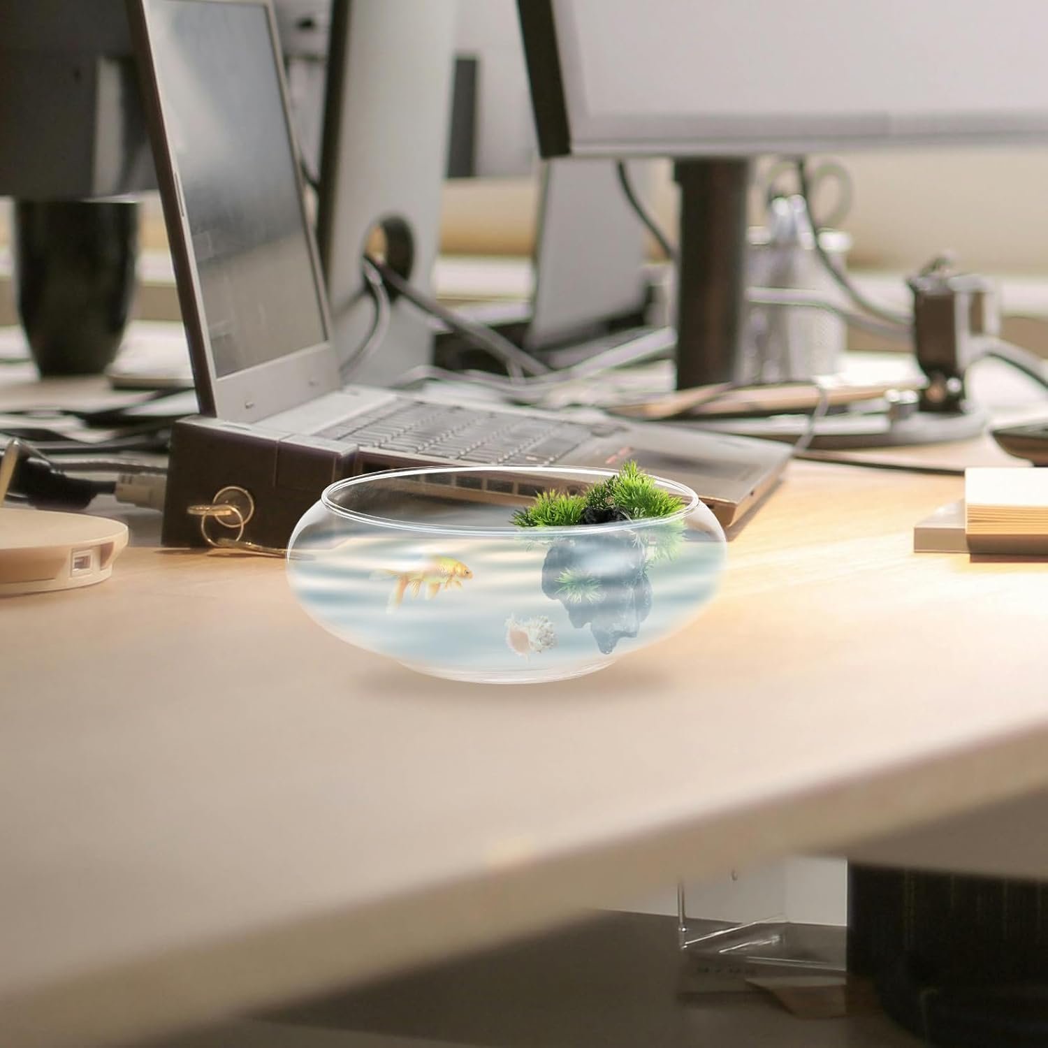 Wholesale Clear Glass Fish Bowl Vase Bubble Round Shallow Planter Hydroponic Floral Container for Table Centerpieces Wedding Events 15cm Factory