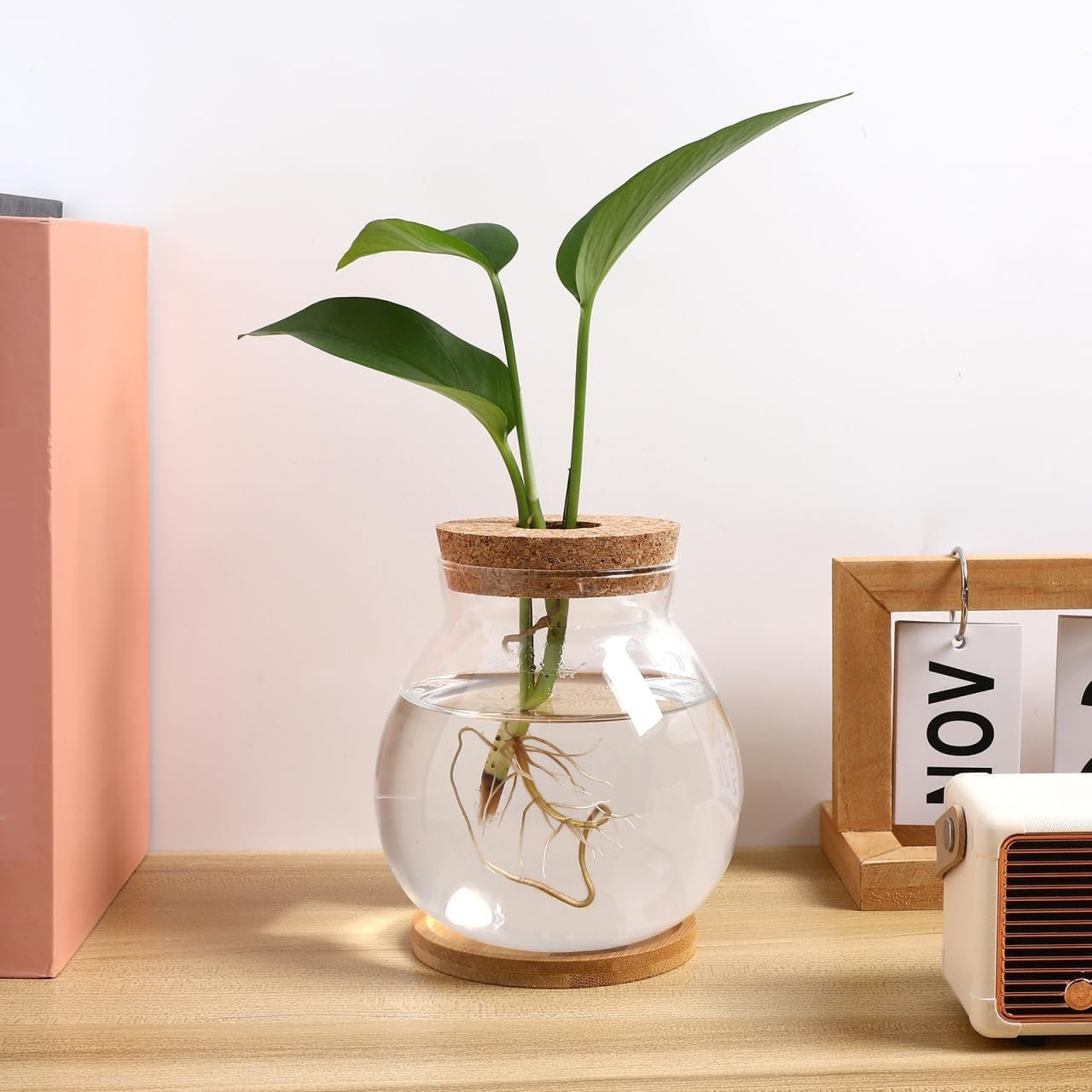 OEM Small Round Desktop Glass Fish Bowl Tank with Wood Stopper Bamboo Mat for Betta Succulents Hydroponic Air Plants 5.1x5.5in Factory