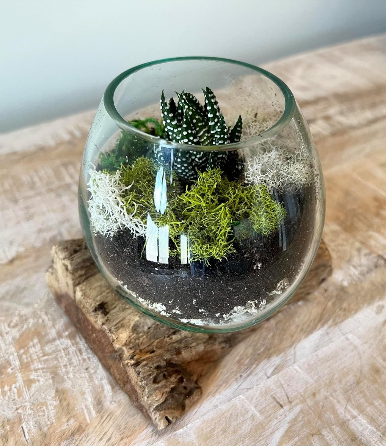 Wholesale Small Hand-Blown Glass Fishbowl Vase Terrarium on Driftwood Base Decorative Centerpiece Factory