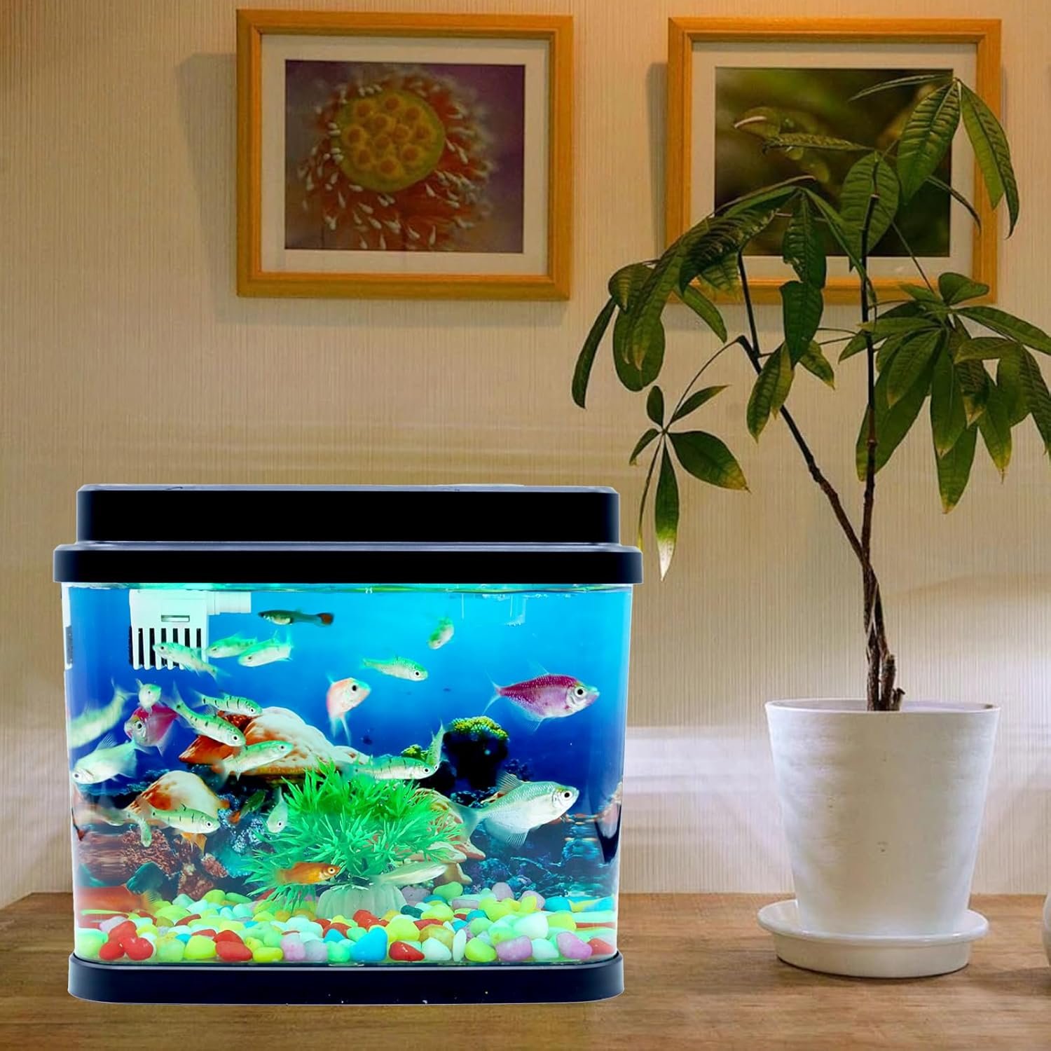 OEM 1 Gallon Mini Fish Tank Small Aquarium Bowl with 6-Color Auto-Looping Light Quiet 3-in-1 Pump for Filtration Oxygenation Circulation Submarine Background Thickened Base Factory