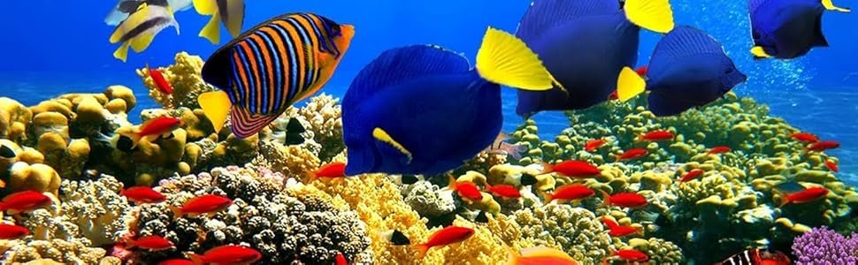 OEM 1 Gallon Betta Fish Tank 360 Aquarium LED Light Automatic Cleaning Starter Kit Desktop Decor Factory OEM 1 Gallon Betta Fish Tank 360 Aquarium LED Light Automatic Cleaning Starter Kit Desktop Decor Factory