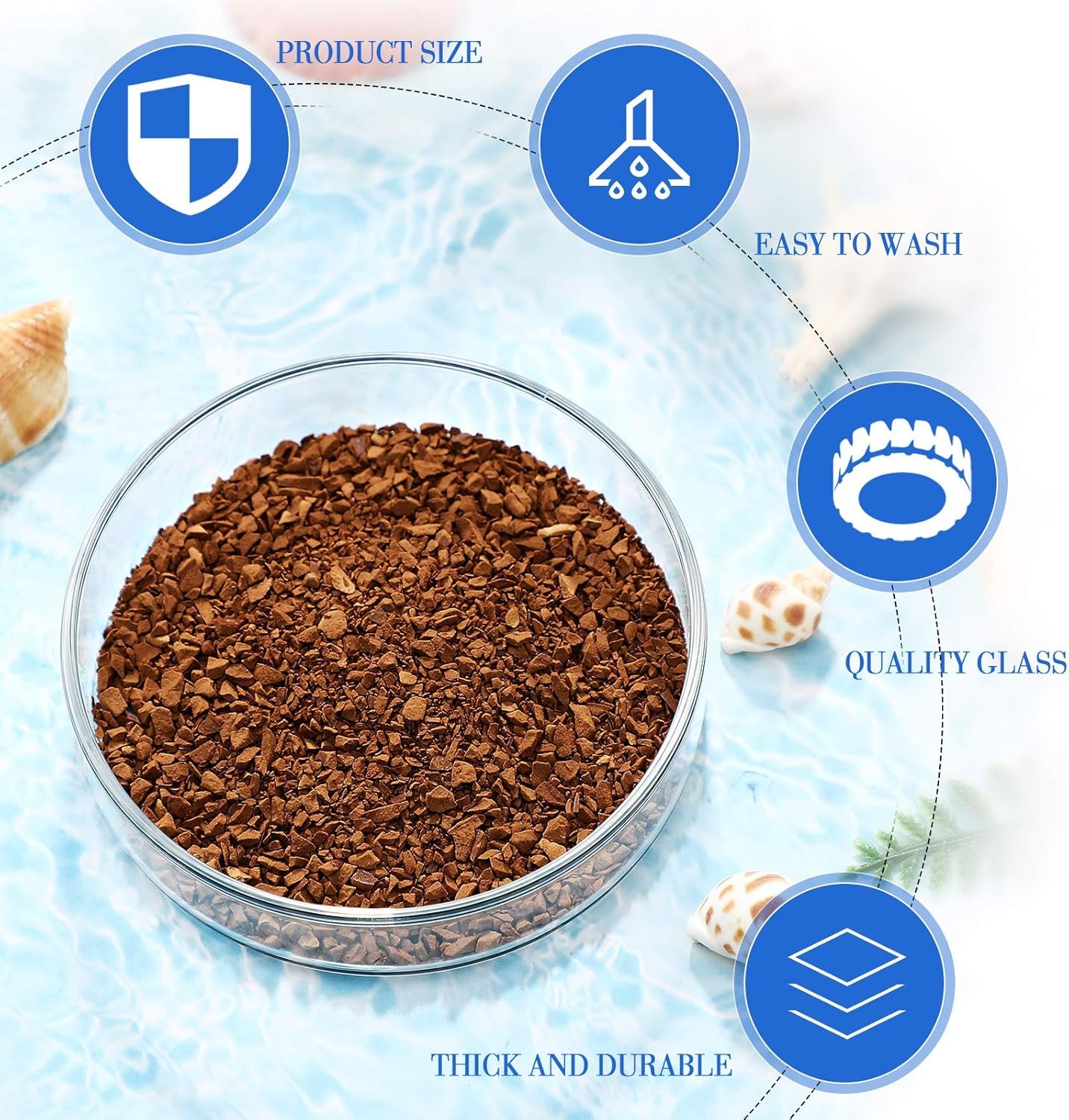 OEM 3 Pieces Clear Glass Aquarium Shrimp Feeding Dish Tray for Fish Tanks Freshwater 60mm 65mm 80mm Factory