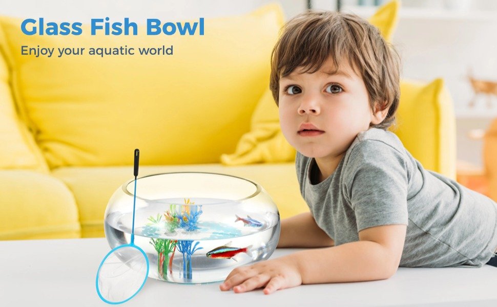 OEM Round Glass Fish Bowl Set with Luminous Pebbles Artificial Plants Net Small Vase Aquarium Home Office Decor Transparent Factory