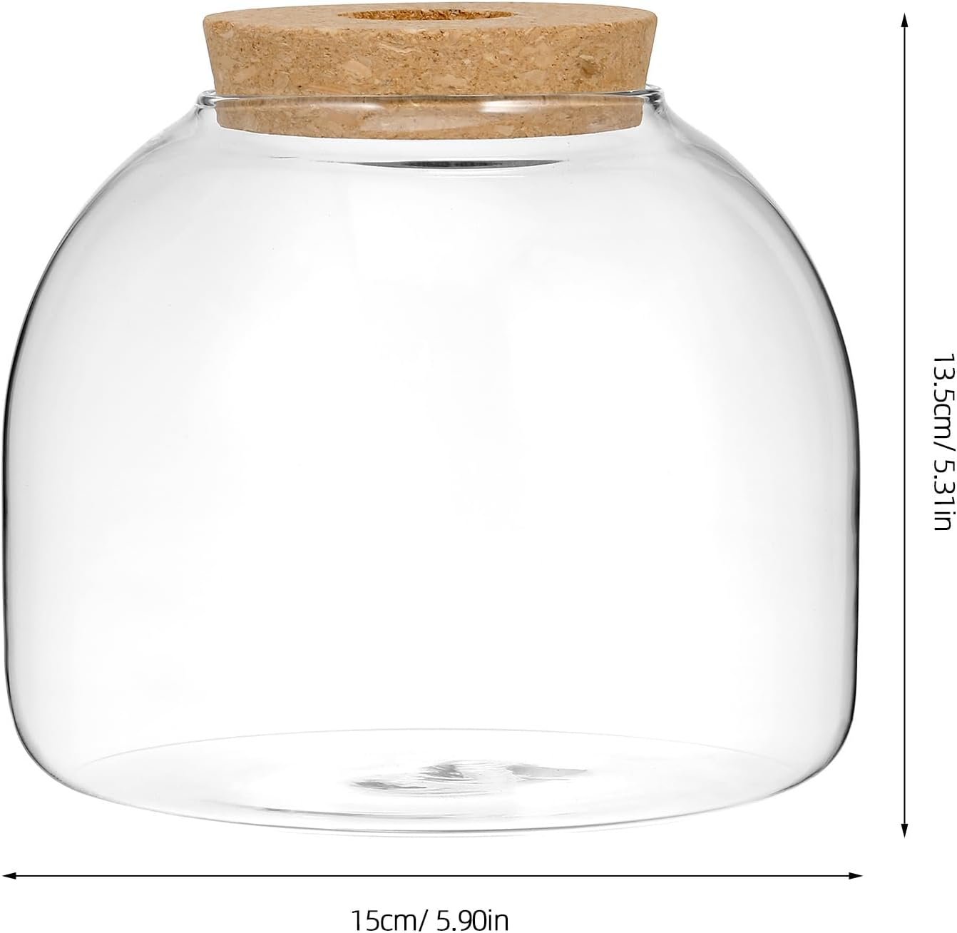 OEM Glass Plant Terrarium Cork Lid Micro Landscape Fish Bowl Vase Jar Air Plant Propagation Container for Succulents Home Decor Factory