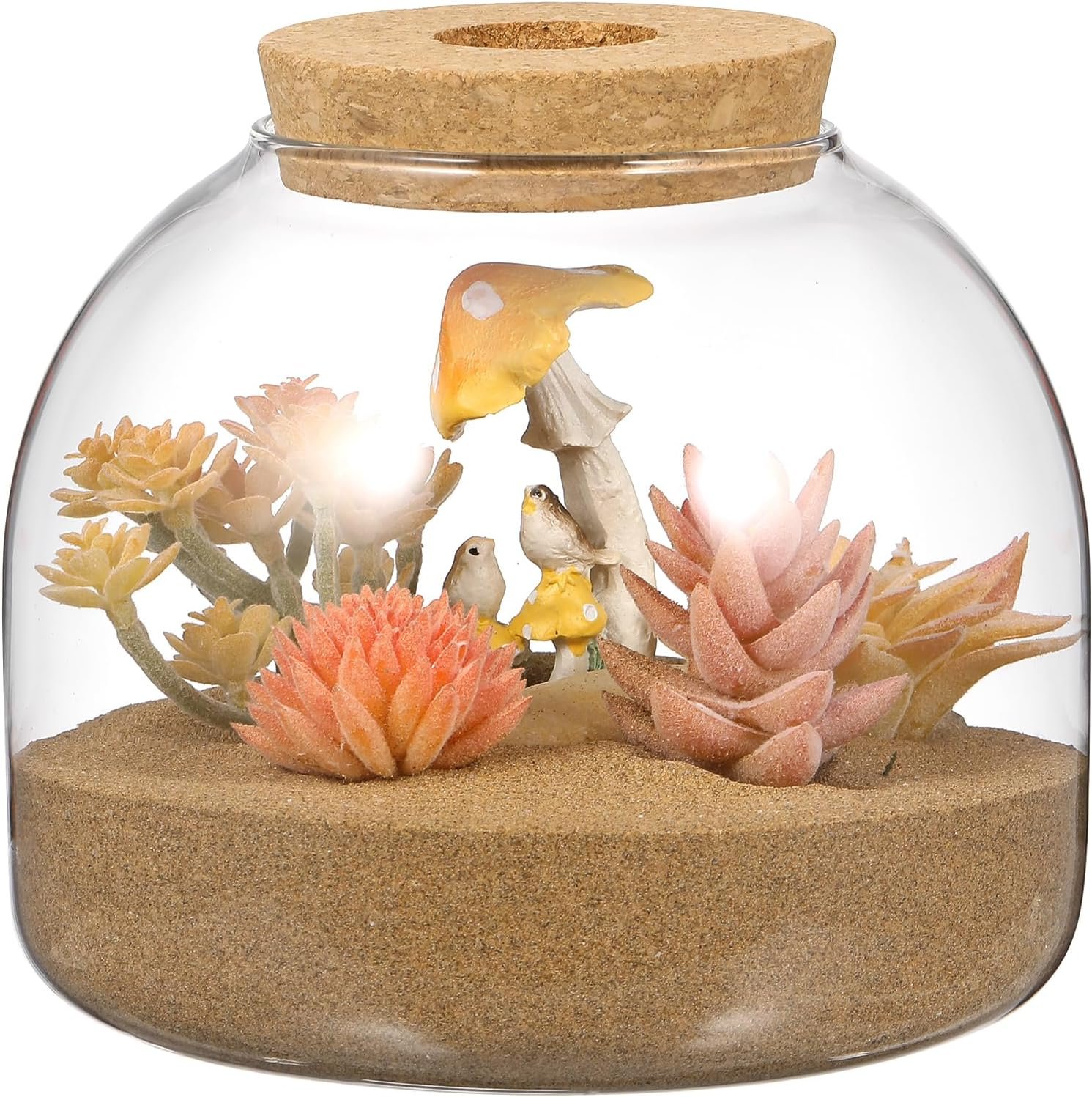 OEM Glass Plant Terrarium Cork Lid Micro Landscape Fish Bowl Vase Jar Air Plant Propagation Container for Succulents Home Decor Factory