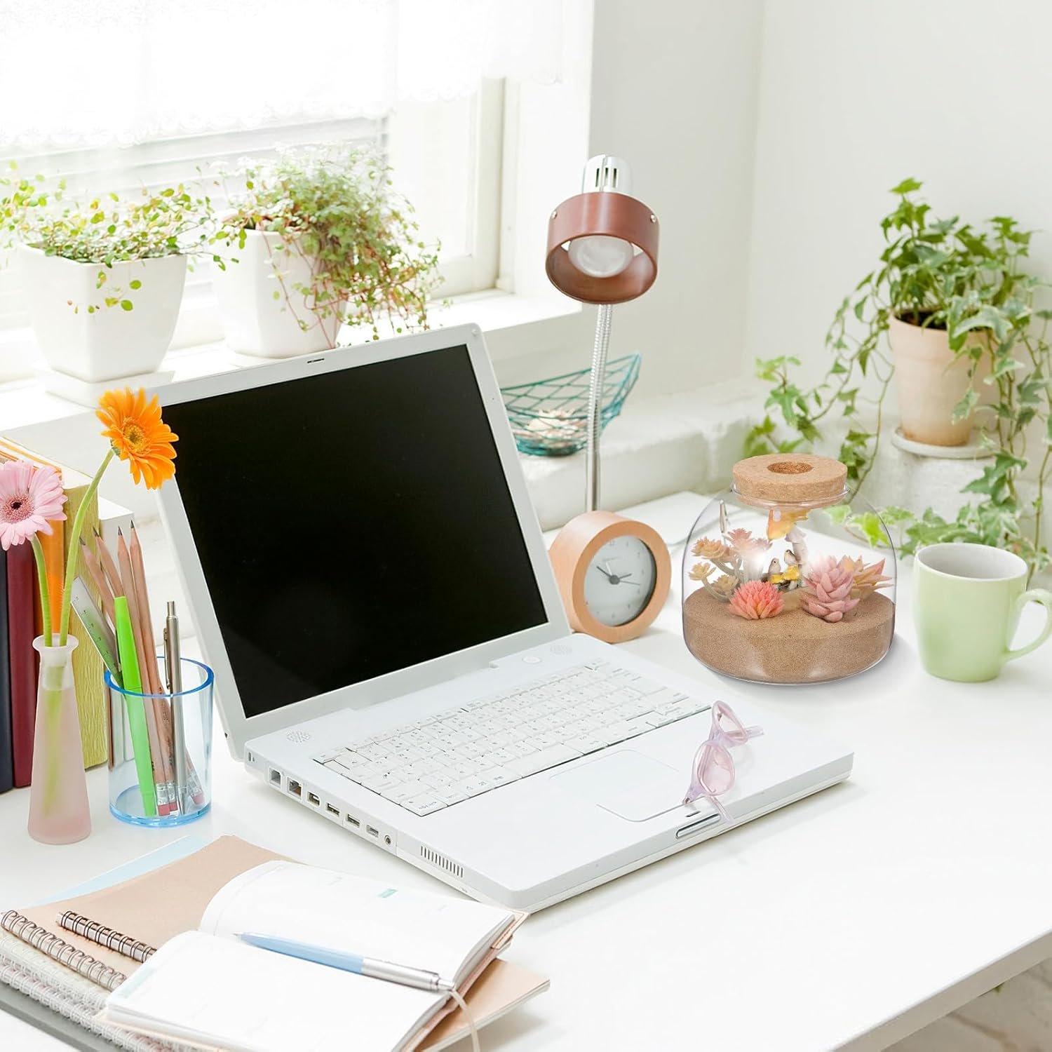 OEM Glass Plant Terrarium Cork Lid Micro Landscape Fish Bowl Vase Jar Air Plant Propagation Container for Succulents Home Decor Factory