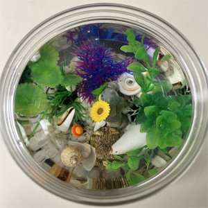 OEM 0.5 Gallon Transparent Betta Tetra Fish Tank Decorations Set with 20 Color LED Lighting - Night Light Aquarium for Kids Factory