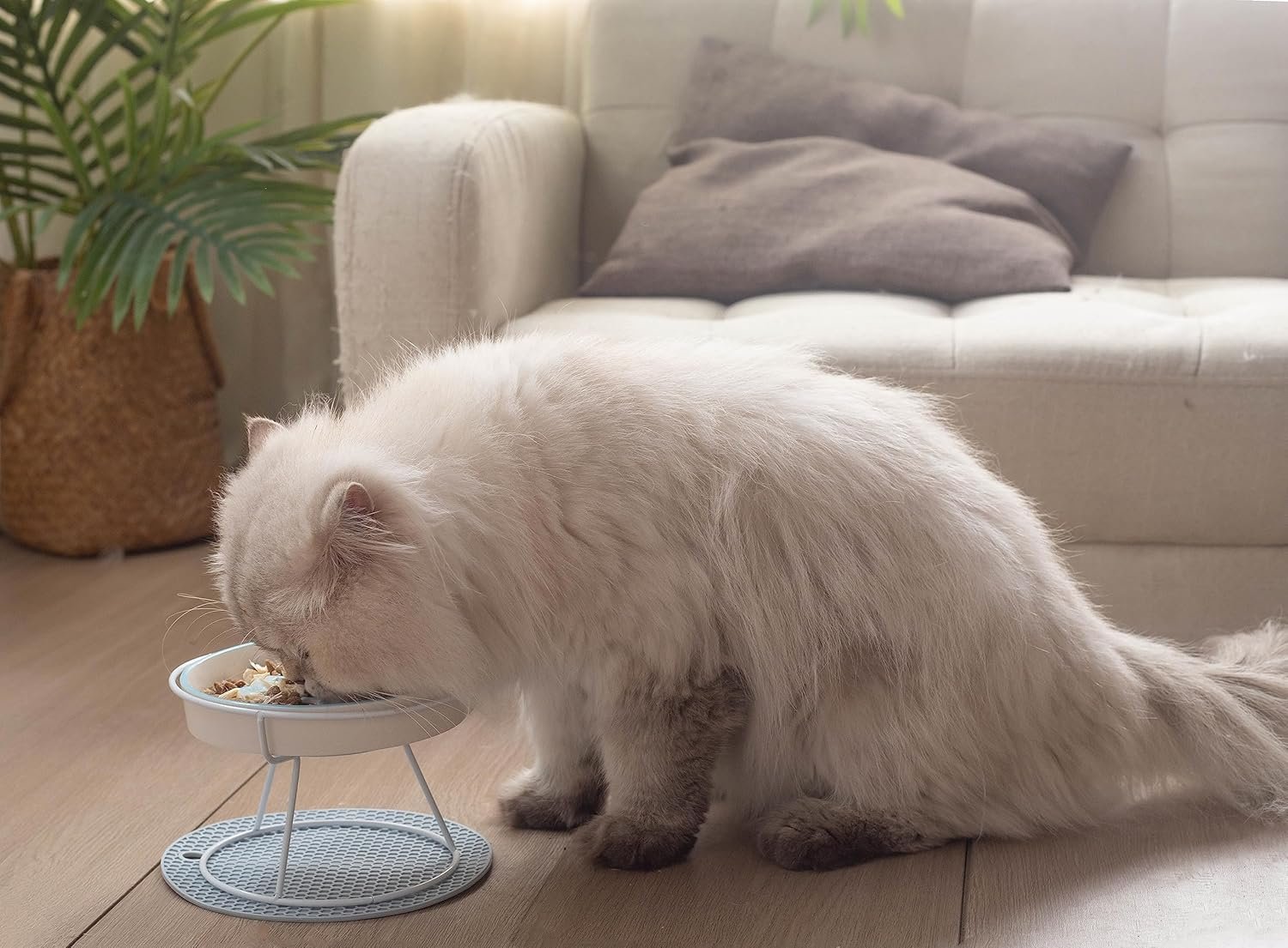 OEM Ceramic Fish Bone Slow Feeder Bowl for Cats Dogs Dishwasher Safe Non-Toxic Engaging Design Prevents Obesity Factory