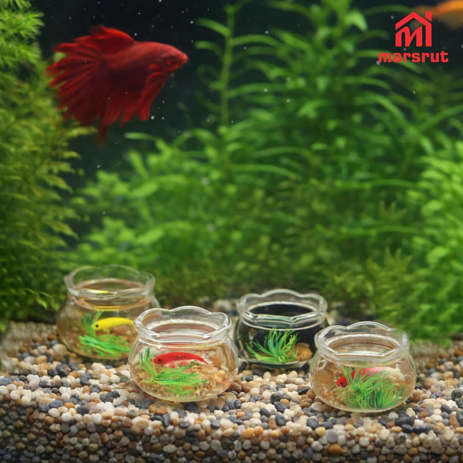 Wholesale 5Pcs 1:12 Scale Miniature Fish Bowls for Dollhouse with Tiny Fish Grass Realistic Glass Jar Accessories DIY Crafts Landscape Decoration Cupcake Toppers Factory