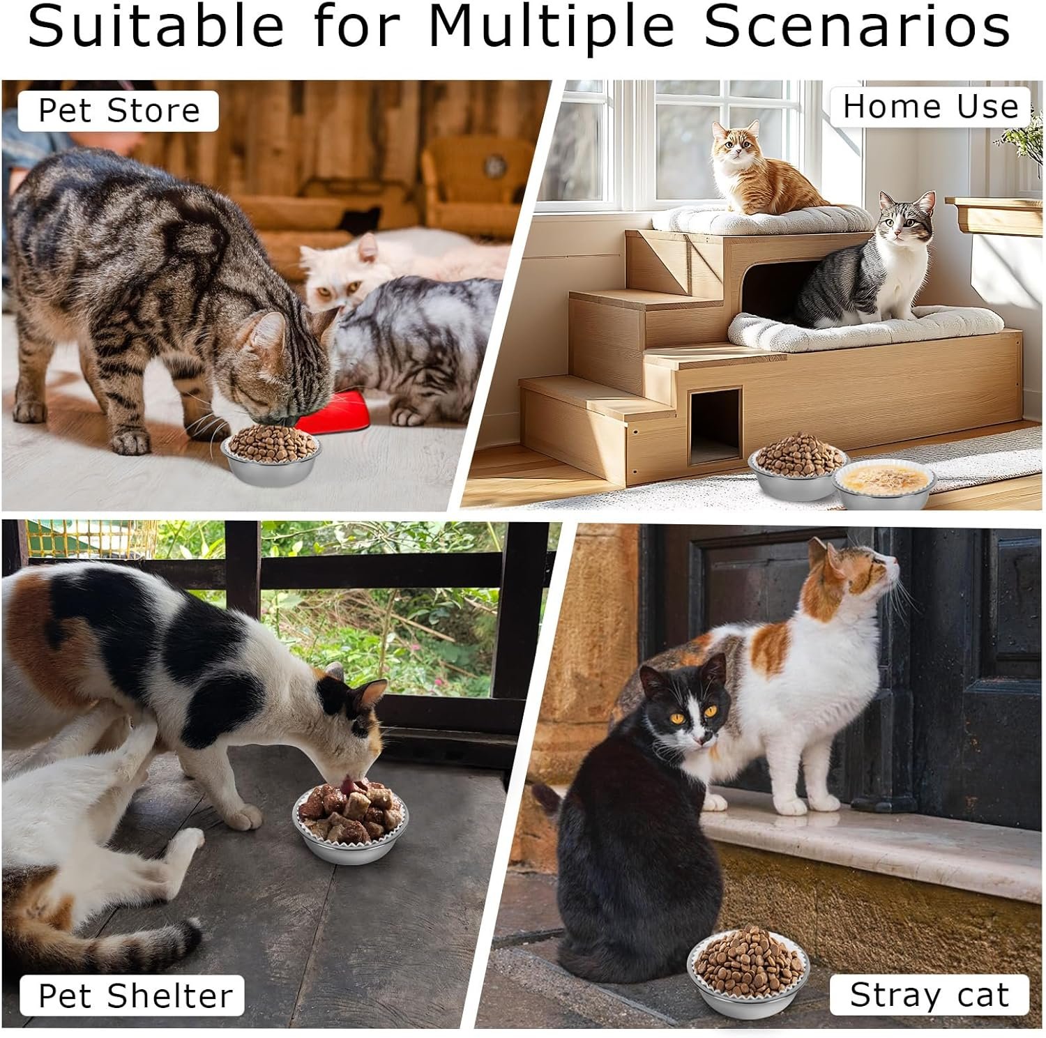 Wholesale Bulk Disposable Cat Bowls Set 300 PCS Liners + 2 PCS Stainless Steel Bowls for Small Cats Dogs Puppies Kittens White Paper for Dry Wet Food Factory Wholesale Bulk Disposable Cat Bowls Set 300 PCS Liners + 2 PCS Stainless Steel Bowls for Small Cats Dogs Puppies Kittens White Paper for Dry Wet Food Factory