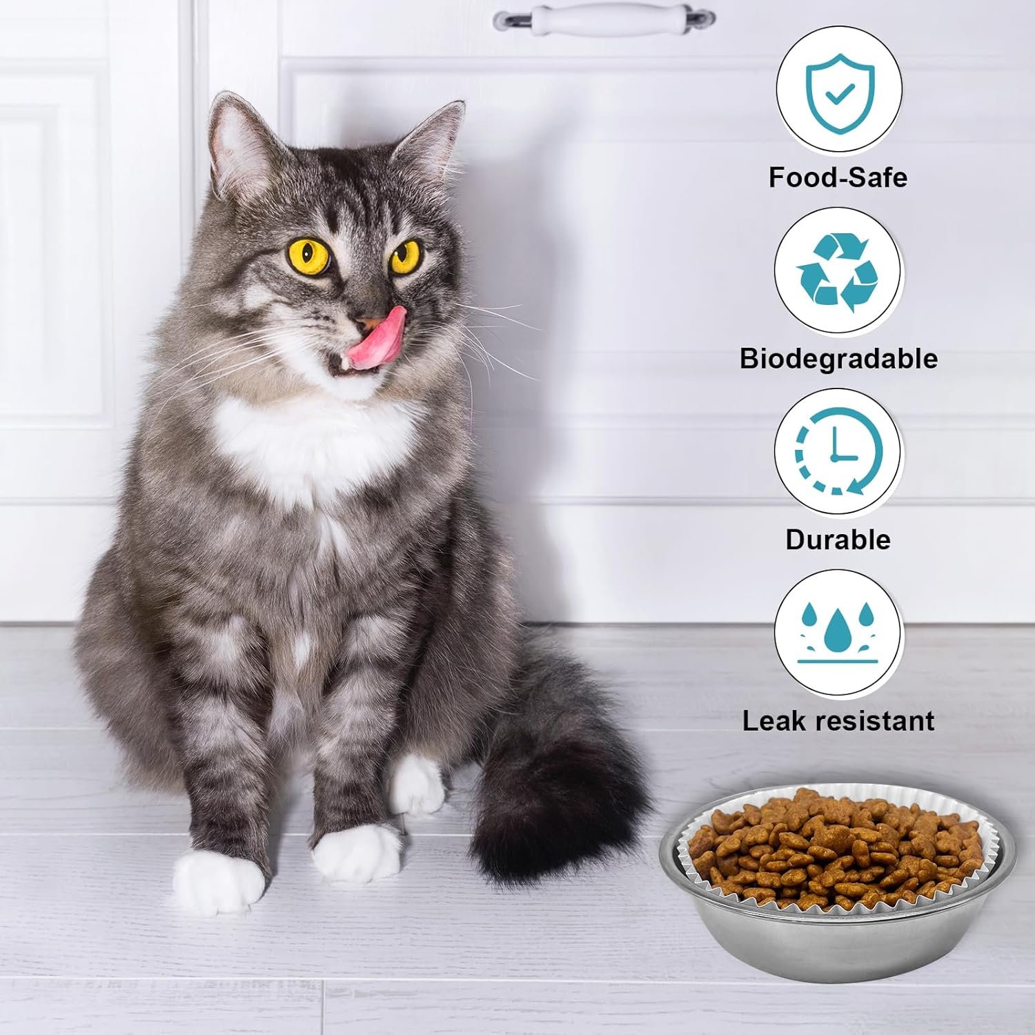 Wholesale Disposable Cat Food Bowls Set 300PCS Small Paper Bowls and 2PCS Stainless Steel Bowls for Pets Wet Food Feeding Factory Wholesale Disposable Cat Food Bowls Set 300PCS Small Paper Bowls and 2PCS Stainless Steel Bowls for Pets Wet Food Feeding Factory