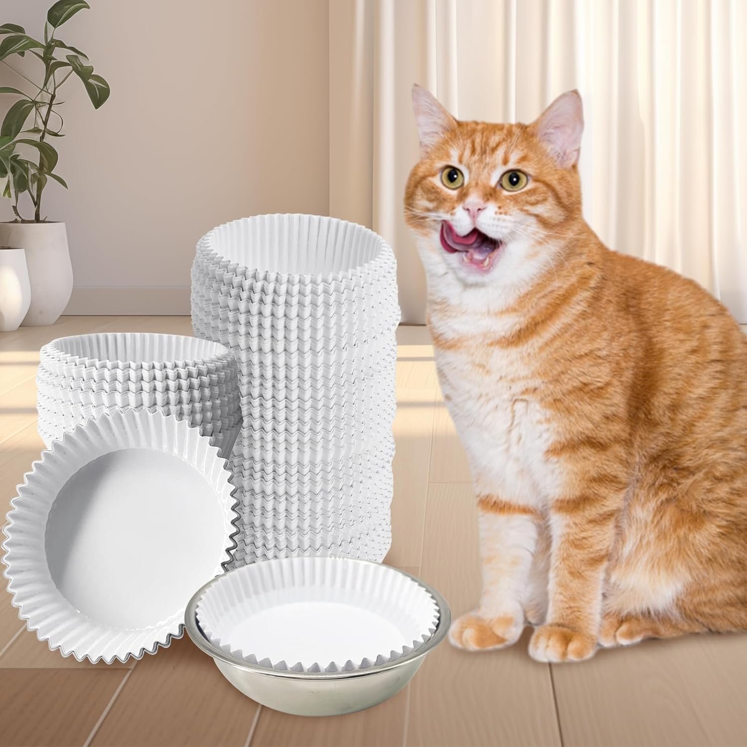 Wholesale Disposable Cat Food Bowls Set 300PCS Small Paper Bowls and 2PCS Stainless Steel Bowls for Pets Wet Food Feeding Factory Wholesale Disposable Cat Food Bowls Set 300PCS Small Paper Bowls and 2PCS Stainless Steel Bowls for Pets Wet Food Feeding Factory