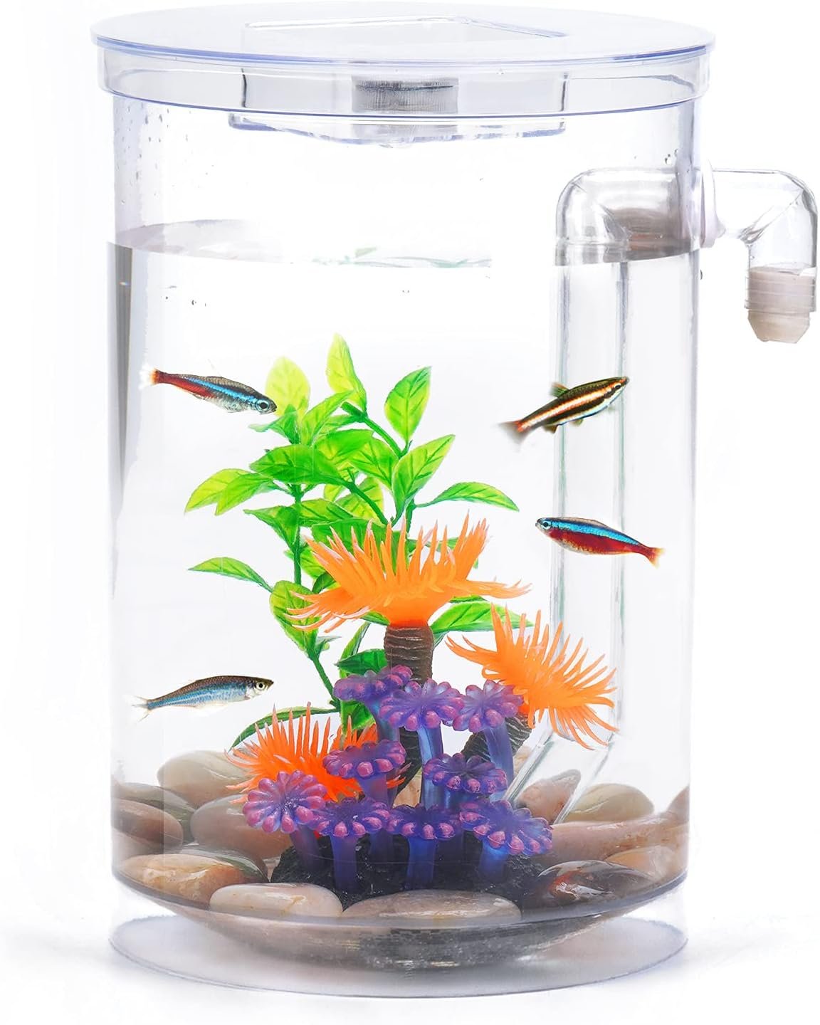 OEM 1 Gallon Betta Fish Tank 360 Aquarium LED Light Automatic Cleaning Starter Kit Desktop Decor Factory OEM 1 Gallon Betta Fish Tank 360 Aquarium LED Light Automatic Cleaning Starter Kit Desktop Decor Factory