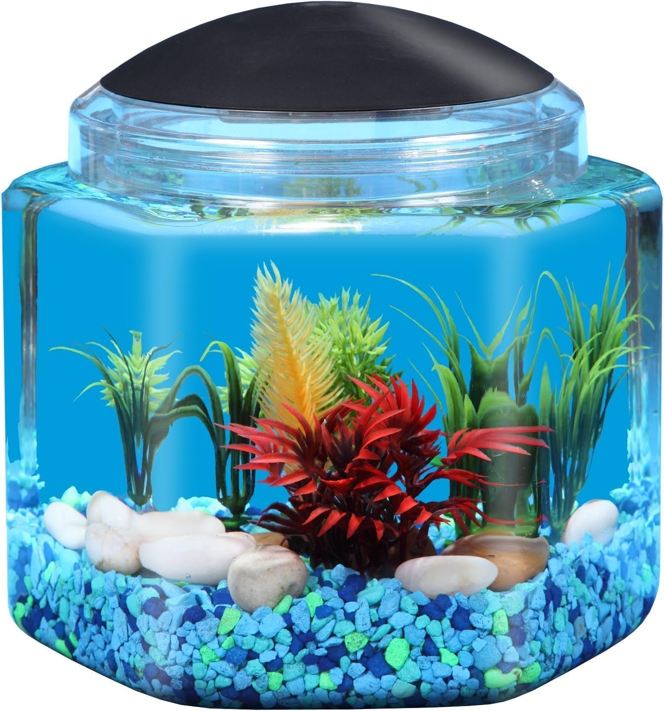 OEM 1-Gallon Hex Betta Tank LED Lighting Factory